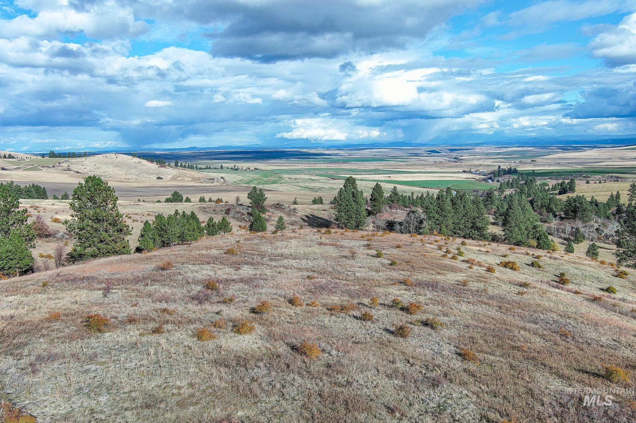 Tbd Over Yonder Road Property Photo 3