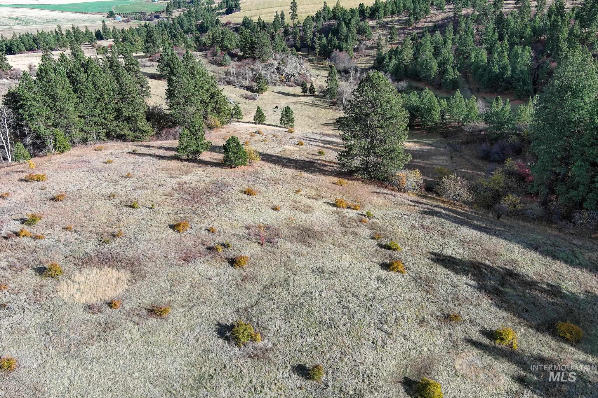 Tbd Over Yonder Road Property Photo 4