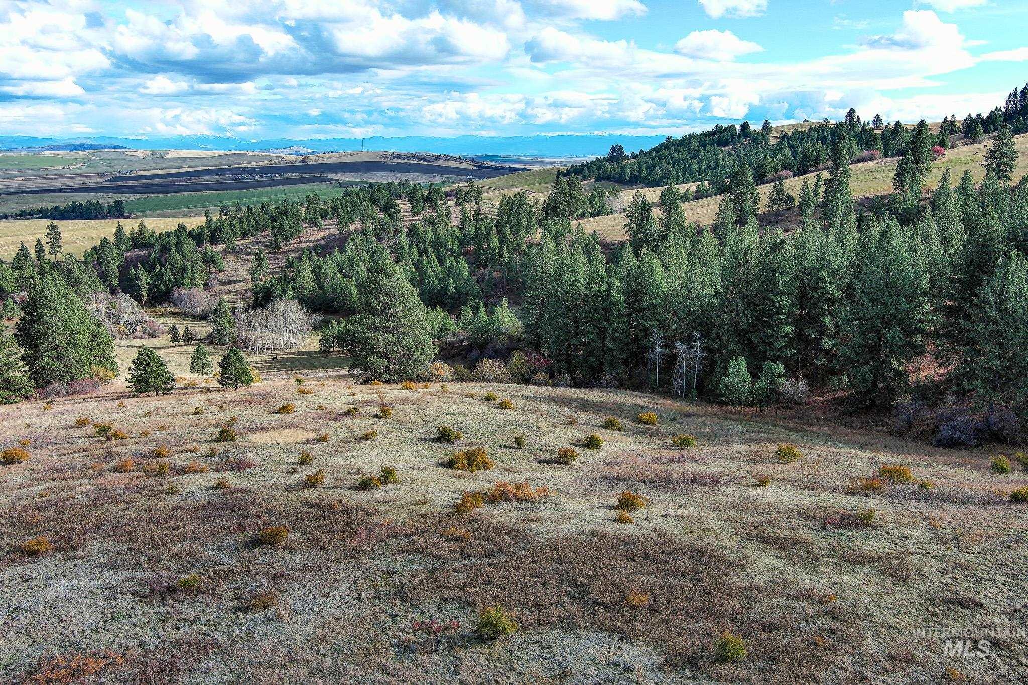 Tbd Over Yonder Road Property Photo 6