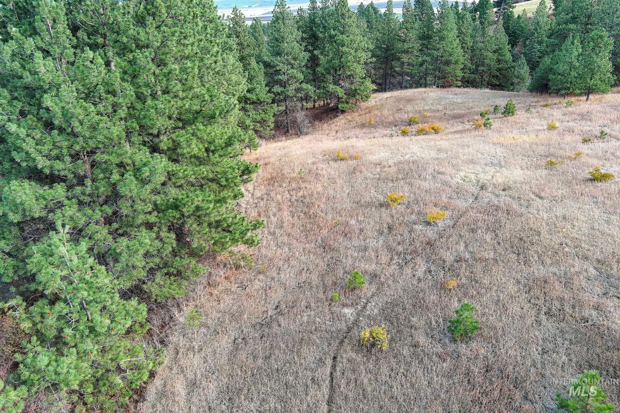 Tbd Over Yonder Road Property Photo 7
