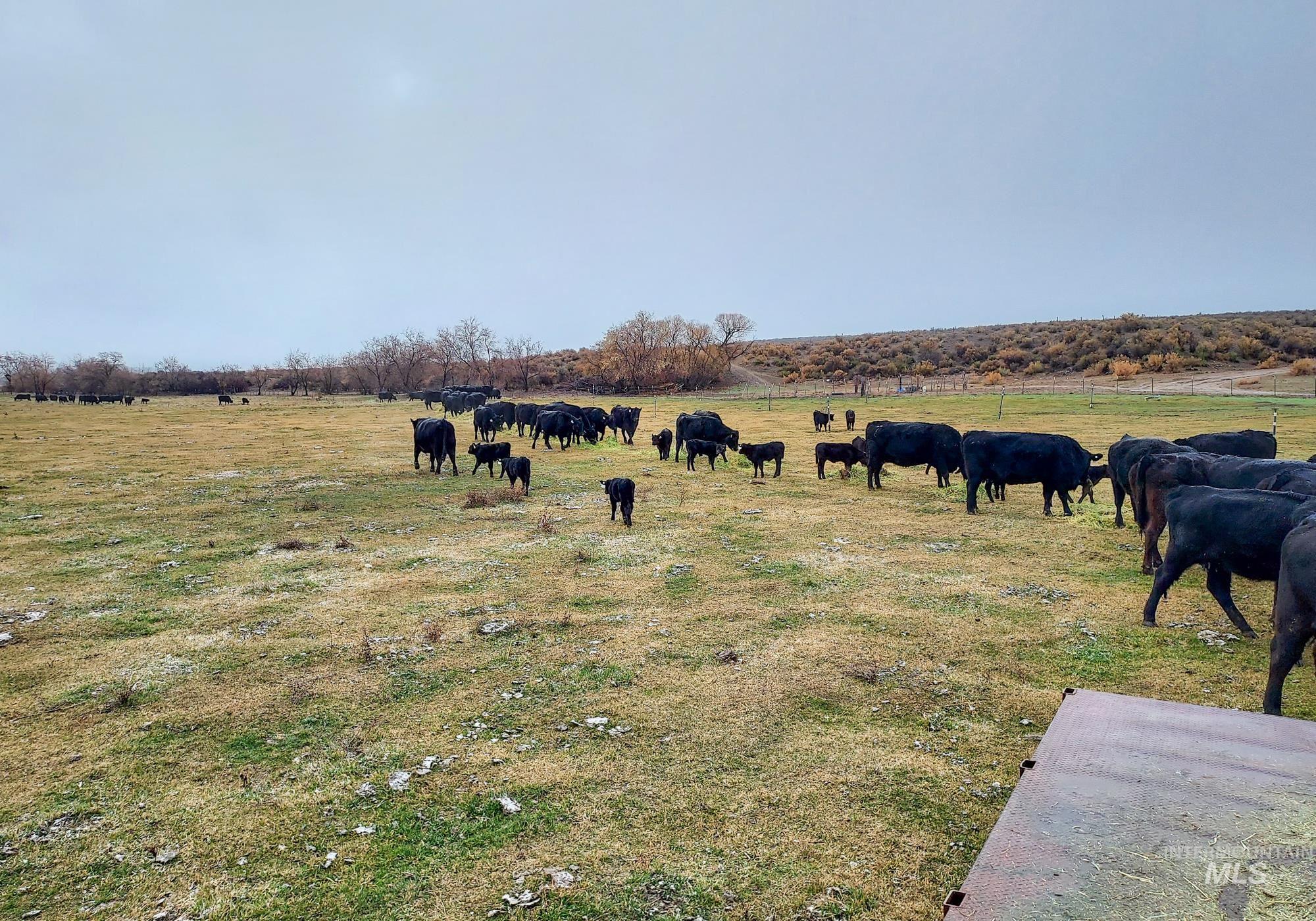 18138 Oreana Loop Road Property Photo 3