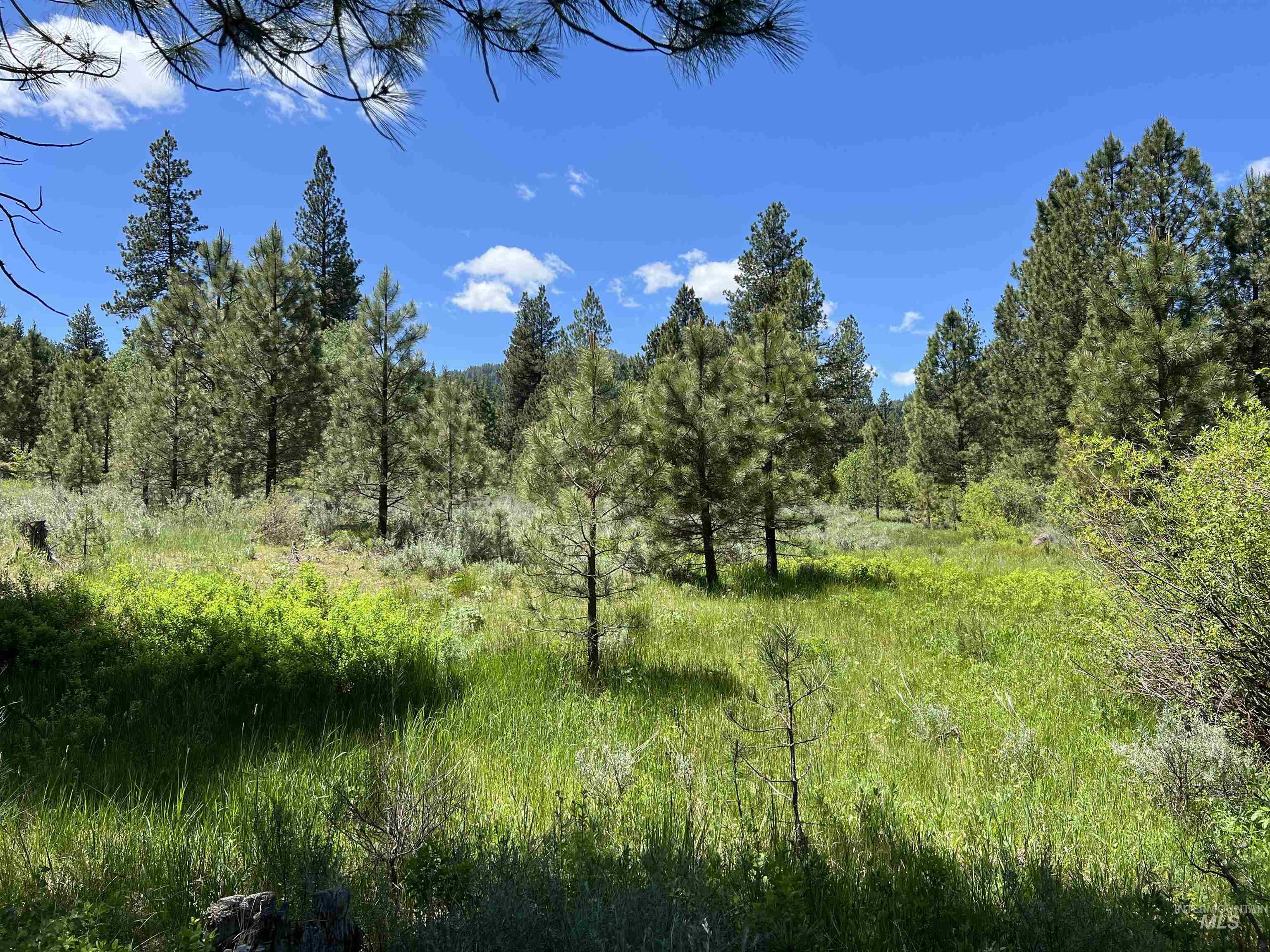 Lot 3 Star Creek Ct Property Photo 5
