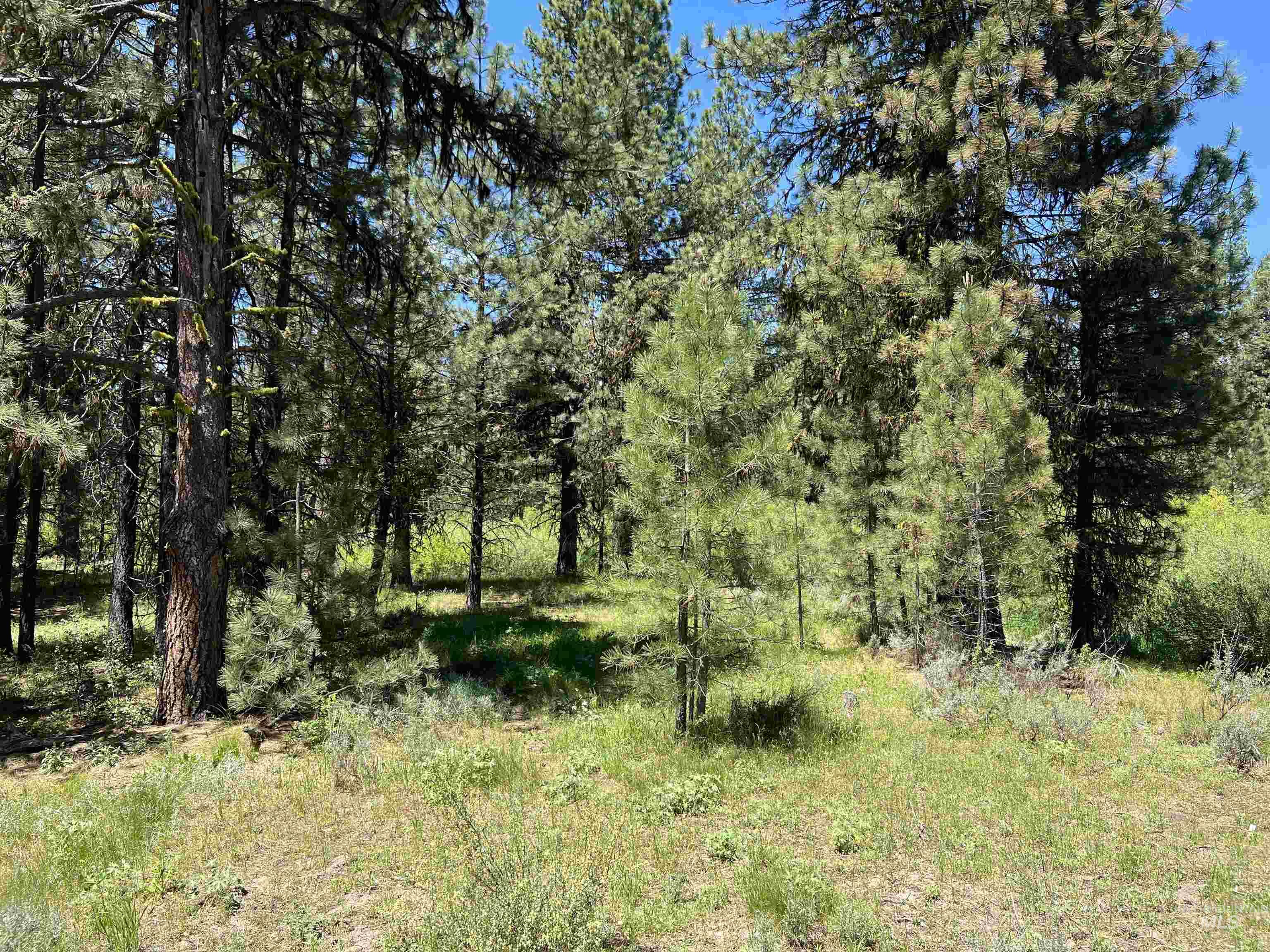 Lot 3 Star Creek Ct Property Photo 6