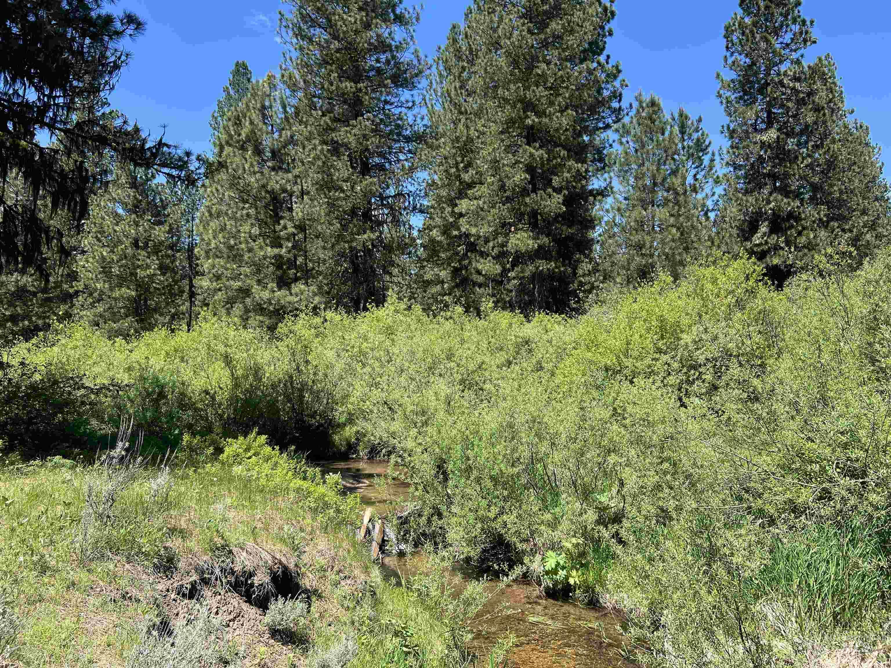 Lot 3 Star Creek Ct Property Photo 7
