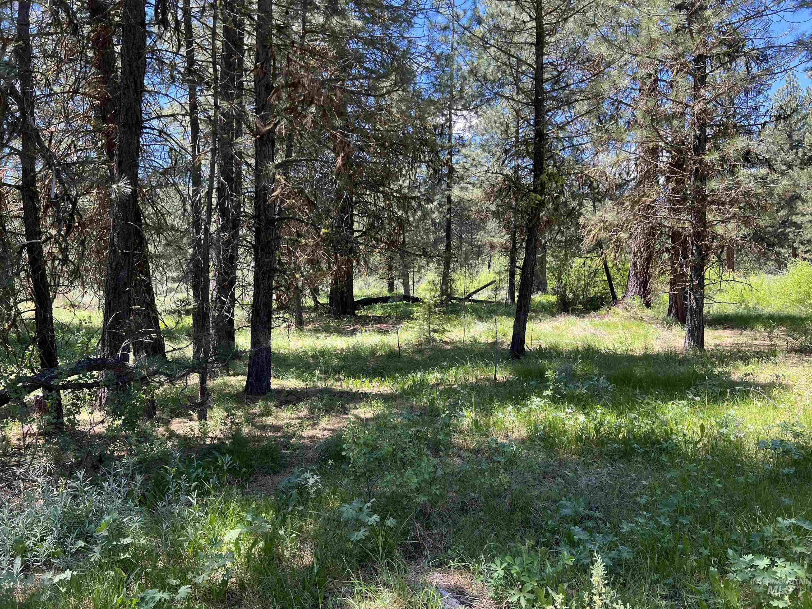 Lot 3 Star Creek Ct Property Photo 8