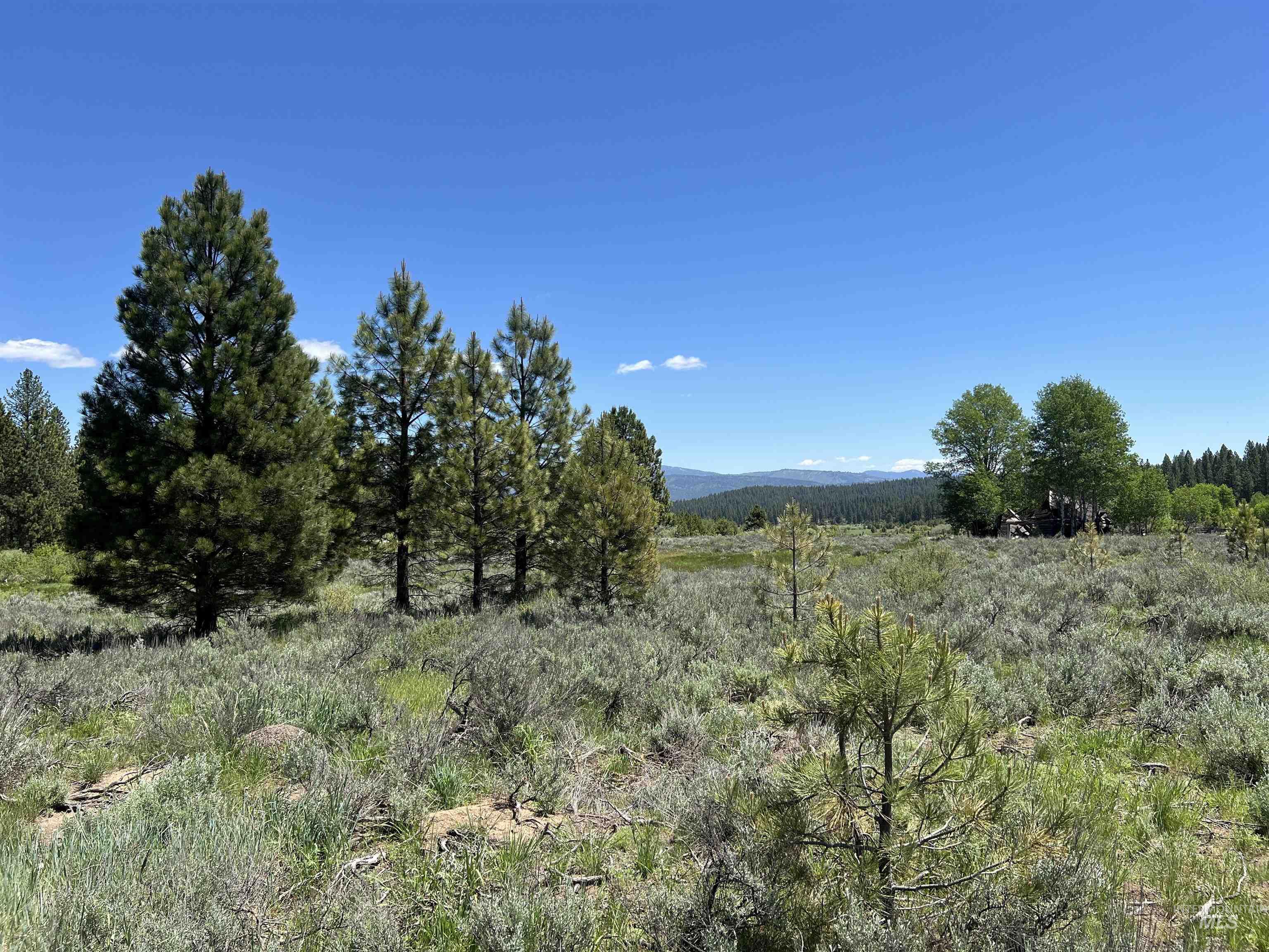 Lot 3 Star Creek Ct Property Photo 10