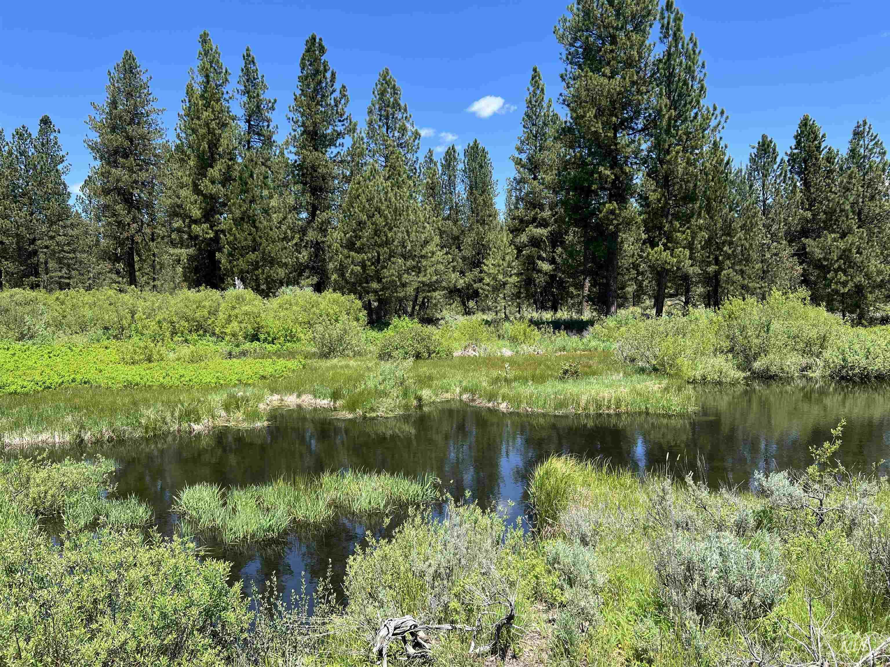 Lot 4 Star Creek Ct Property Photo