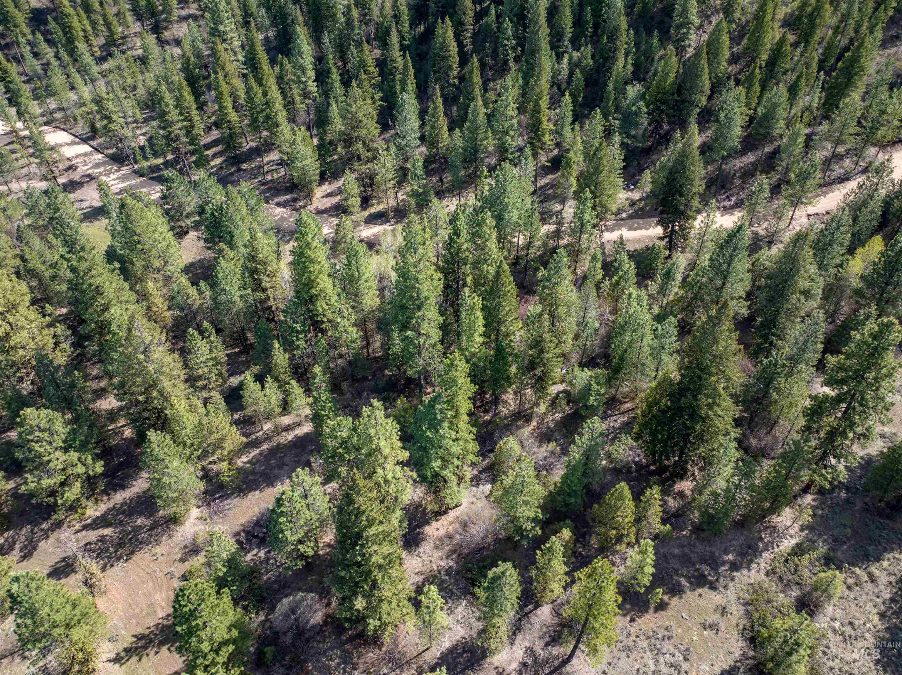 Lot 12 Star Creek Ct Property Photo 1