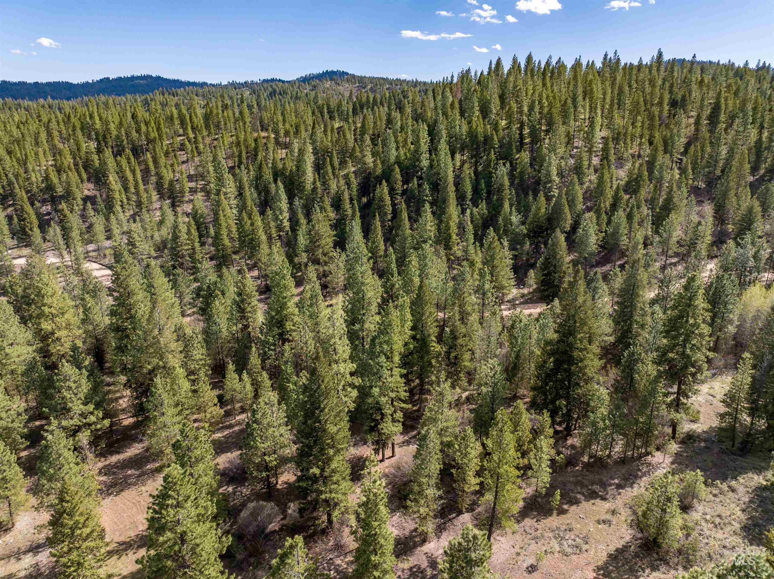 Lot 12 Star Creek Ct Property Photo 3