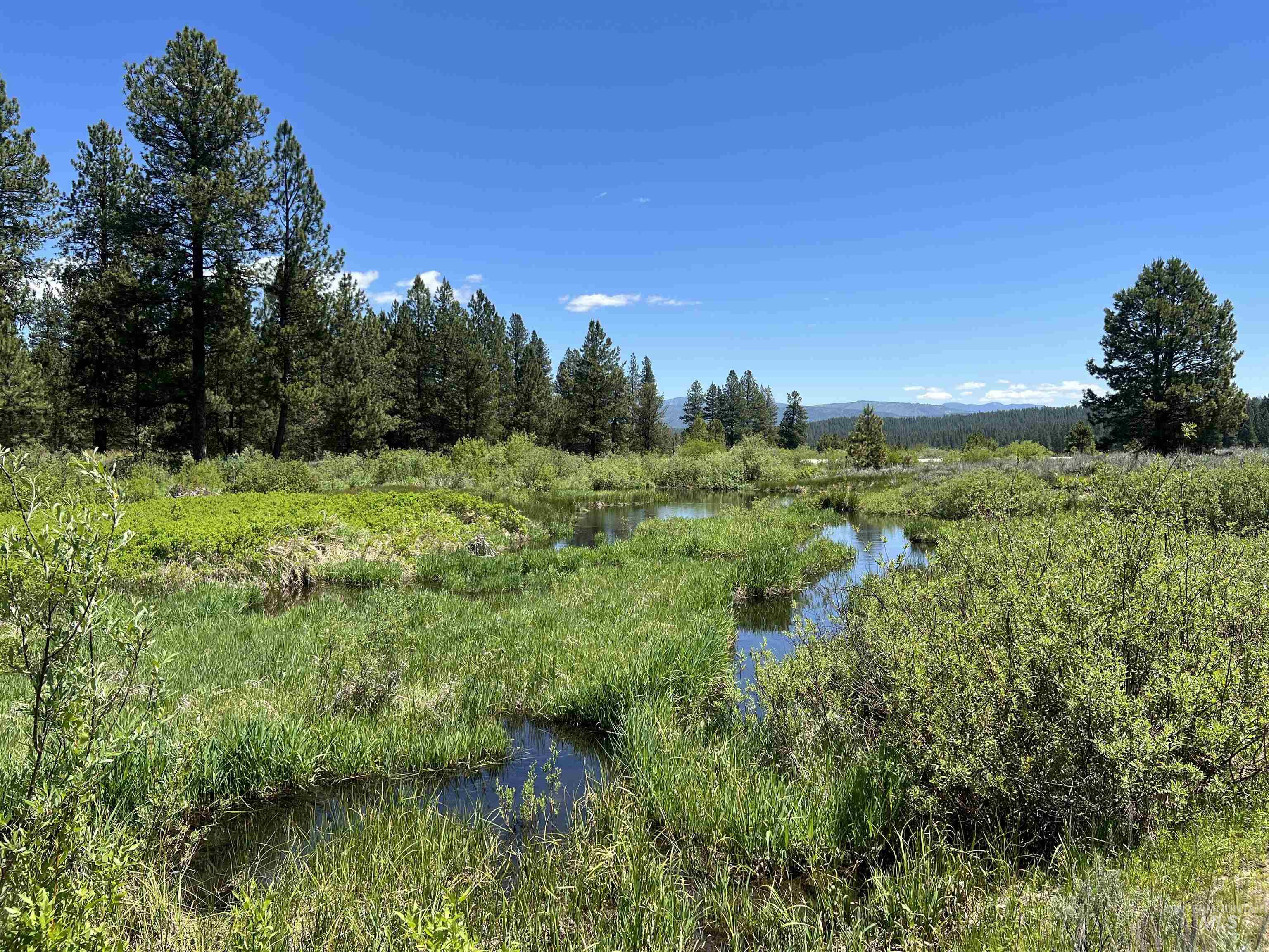 Lot 12 Star Creek Ct Property Photo 7