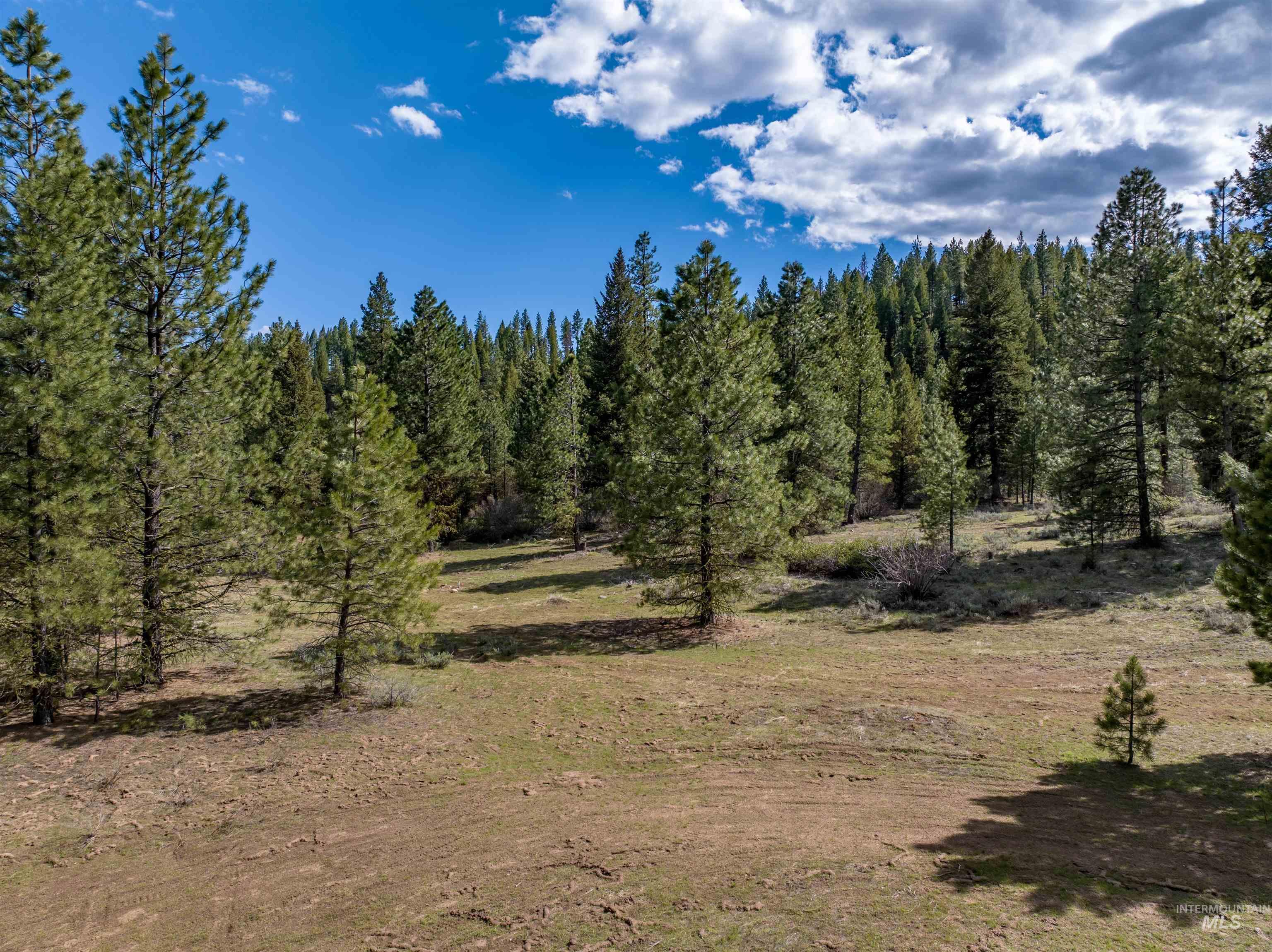 Lot 12 Star Creek Ct Property Photo 11