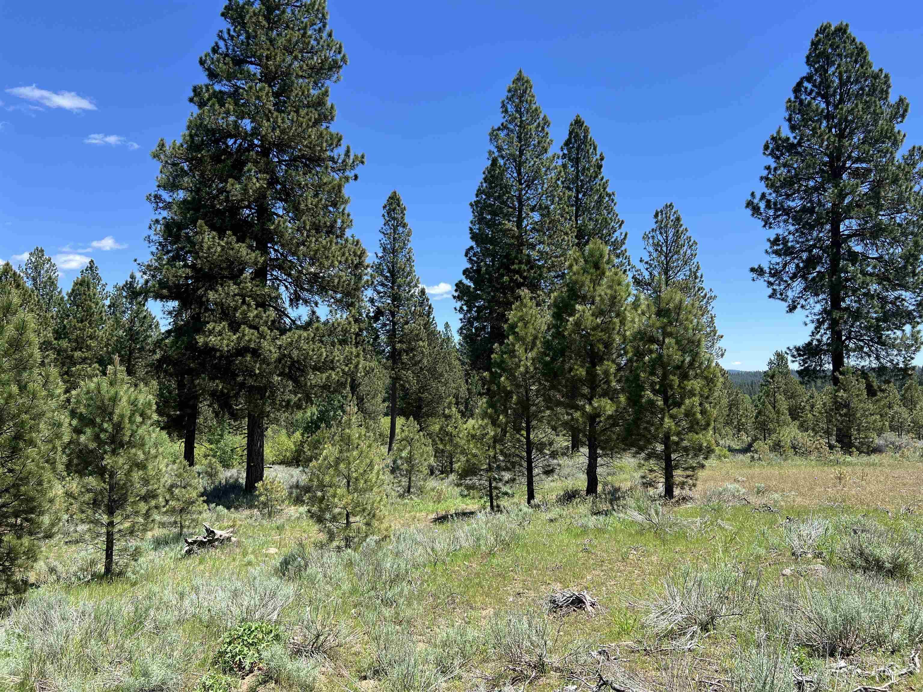 Lot 12 Star Creek Ct Property Photo 13