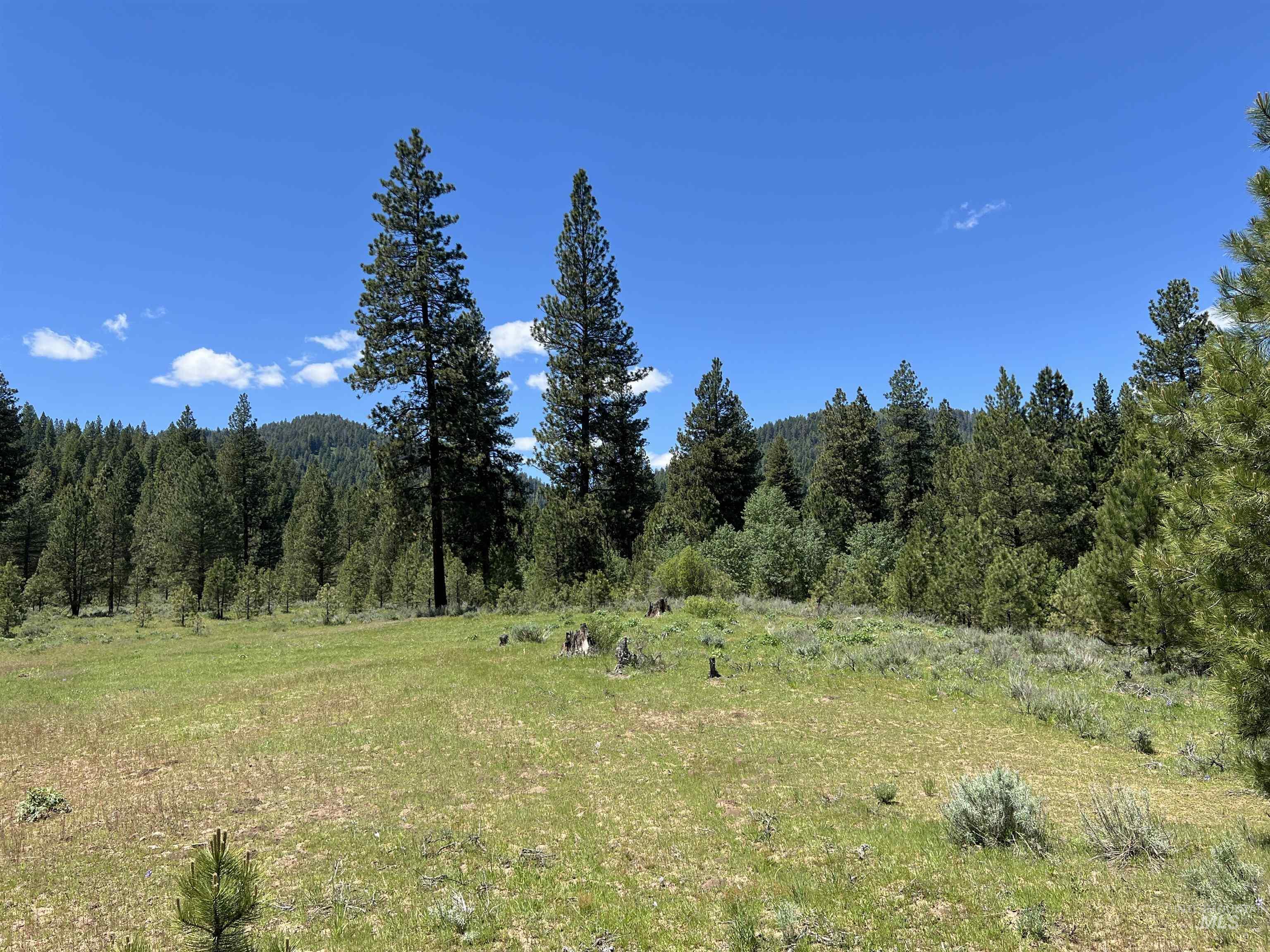 Lot 12 Star Creek Ct Property Photo 16