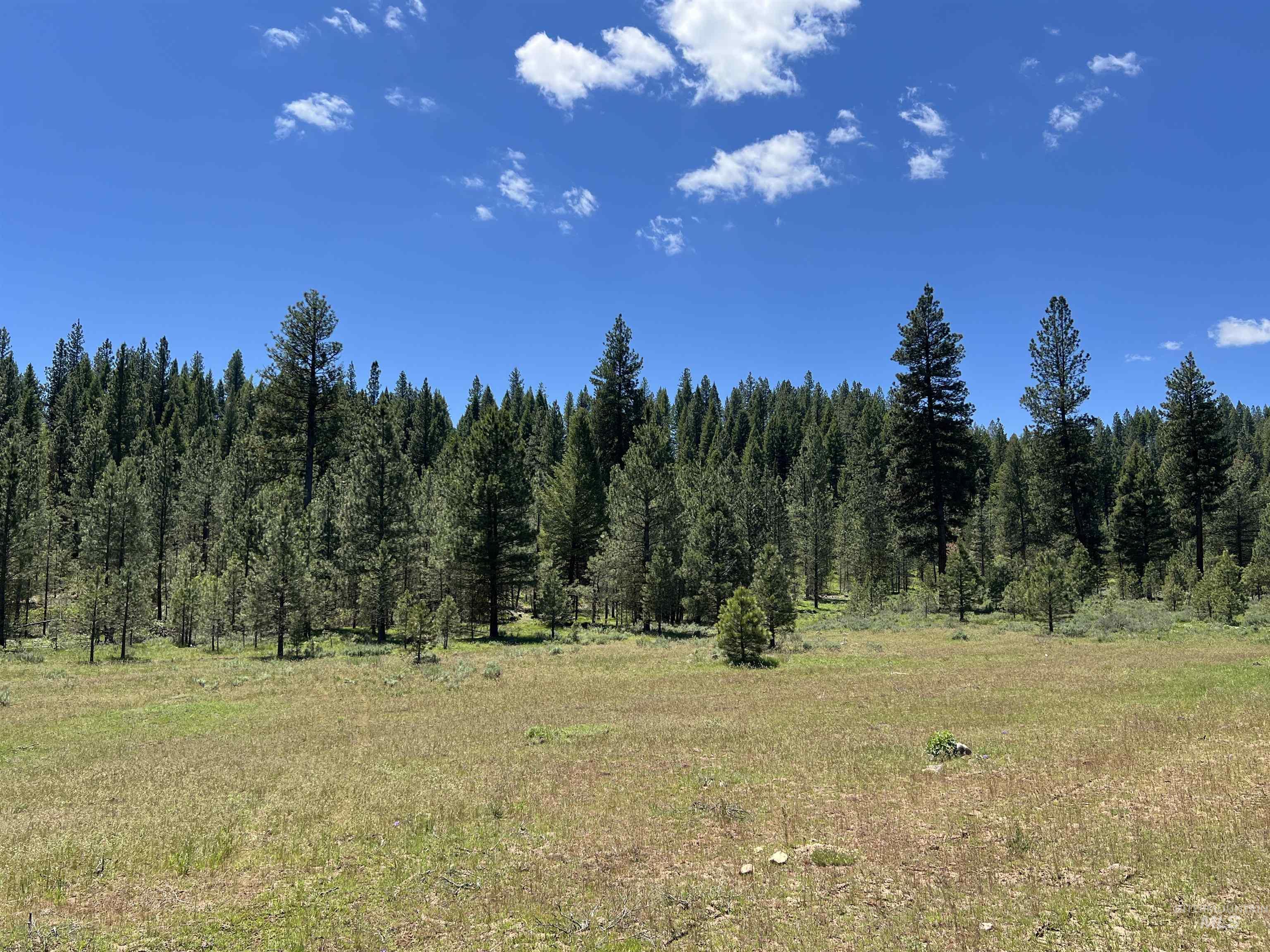 Lot 12 Star Creek Ct Property Photo 17