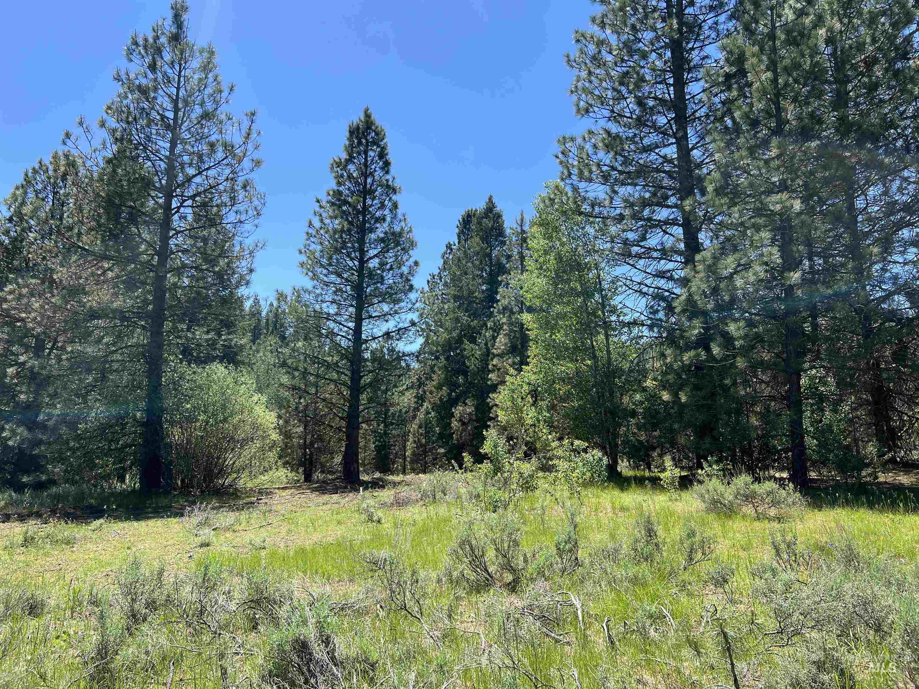 Lot 12 Star Creek Ct Property Photo 18