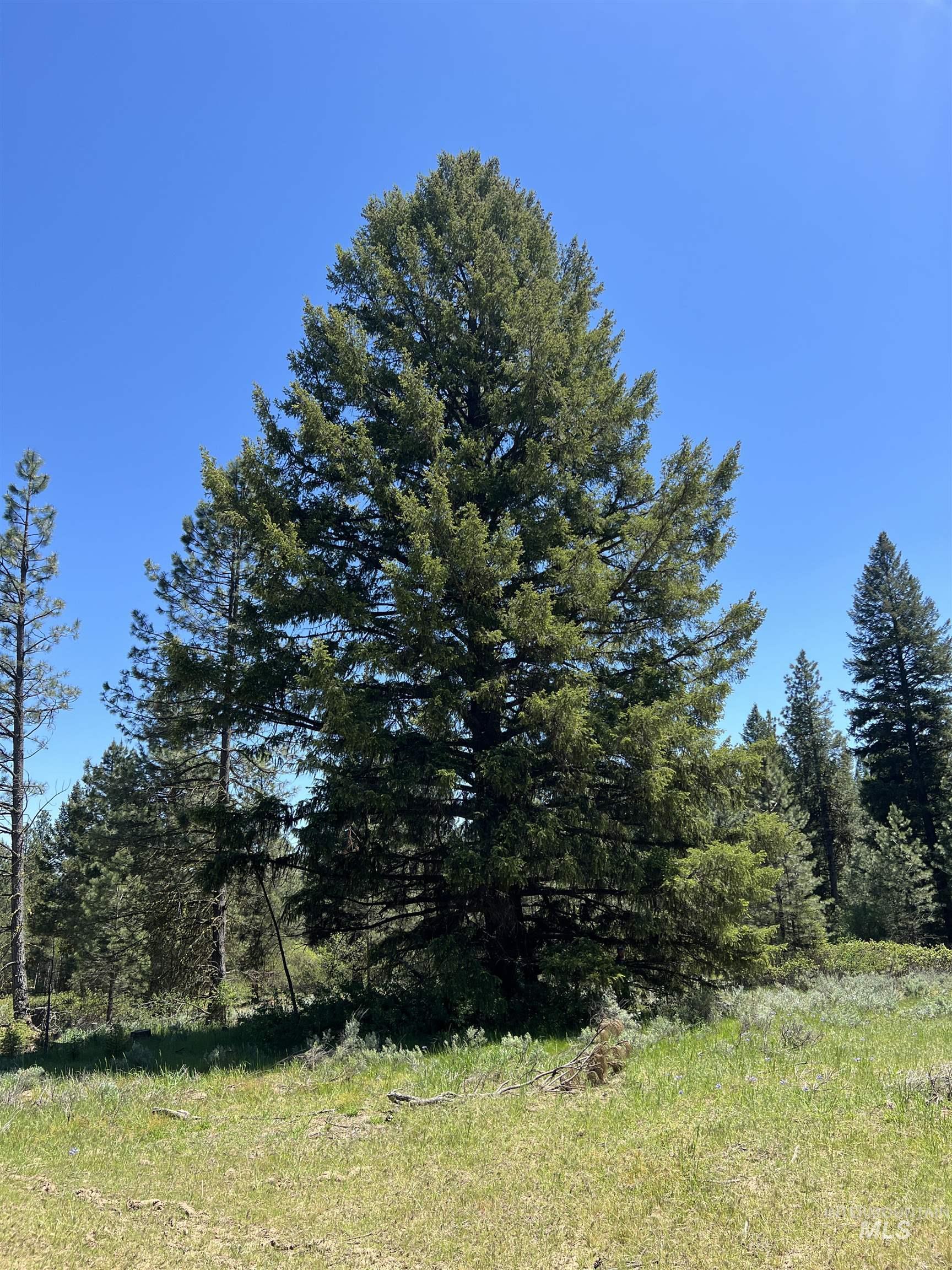 Lot 12 Star Creek Ct Property Photo 19