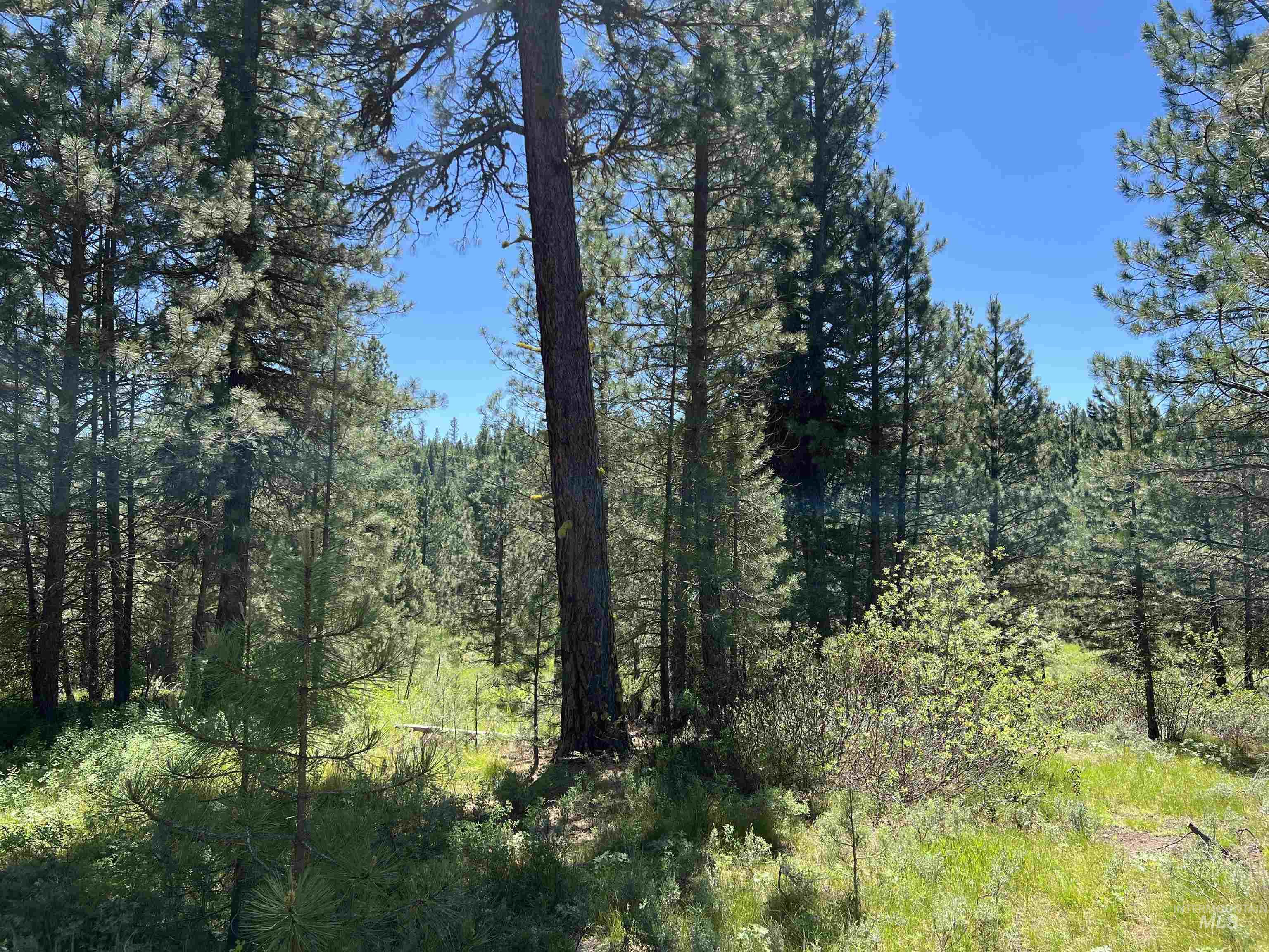 Lot 12 Star Creek Ct Property Photo 21