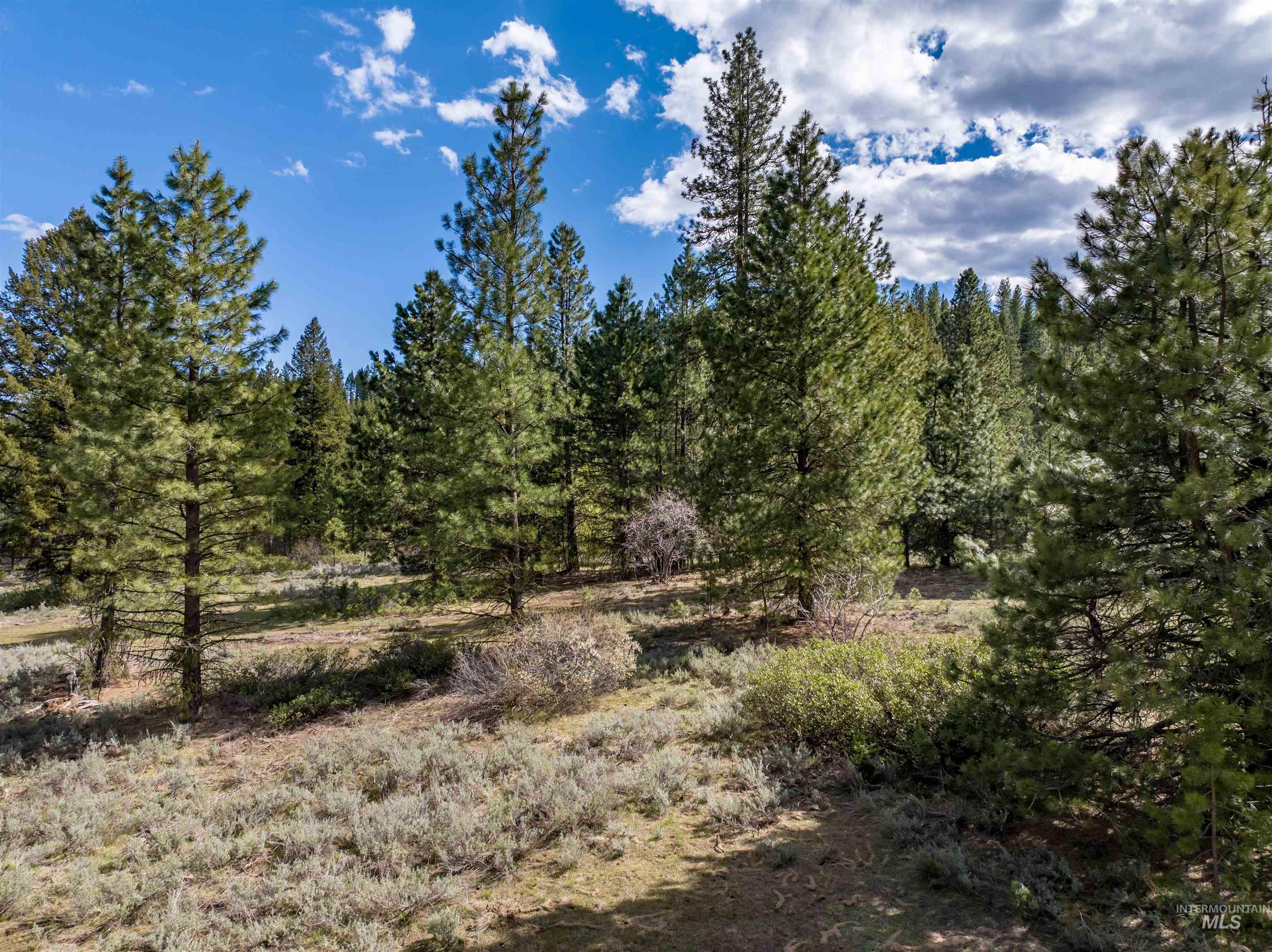 Lot 13 Star Creek Ct Property Photo 7