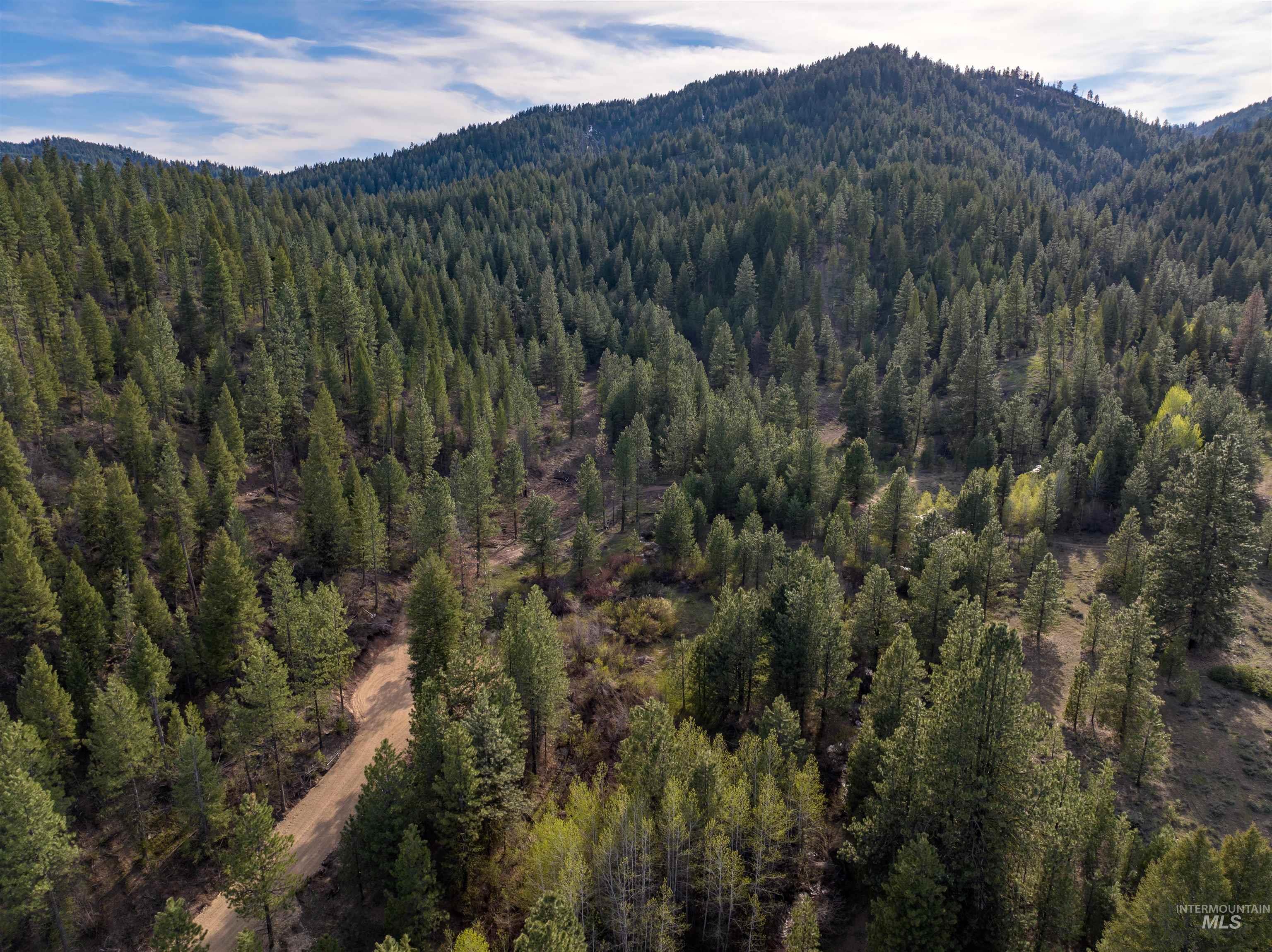 Lot 15 Trail Creek Ct Property Photo 2