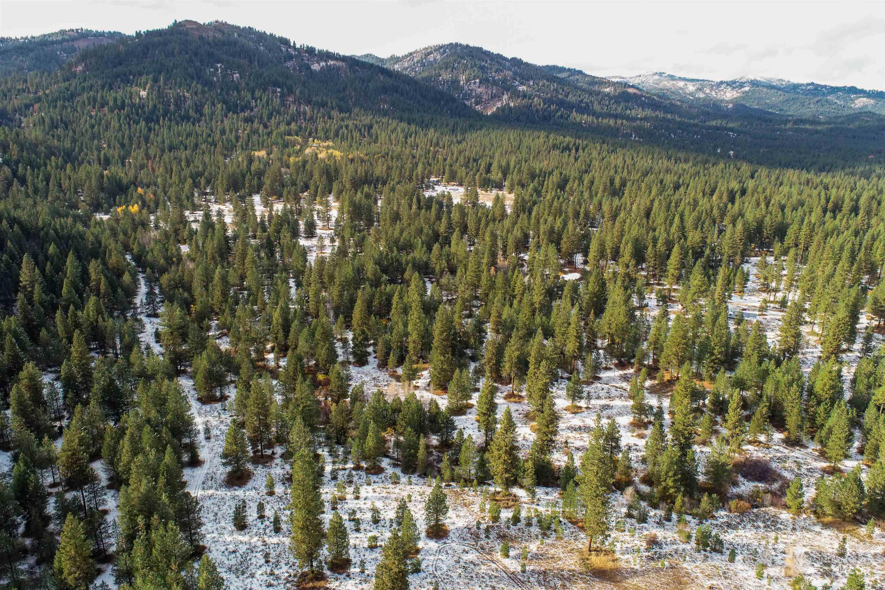 Lot 15 Trail Creek Ct Property Photo 3
