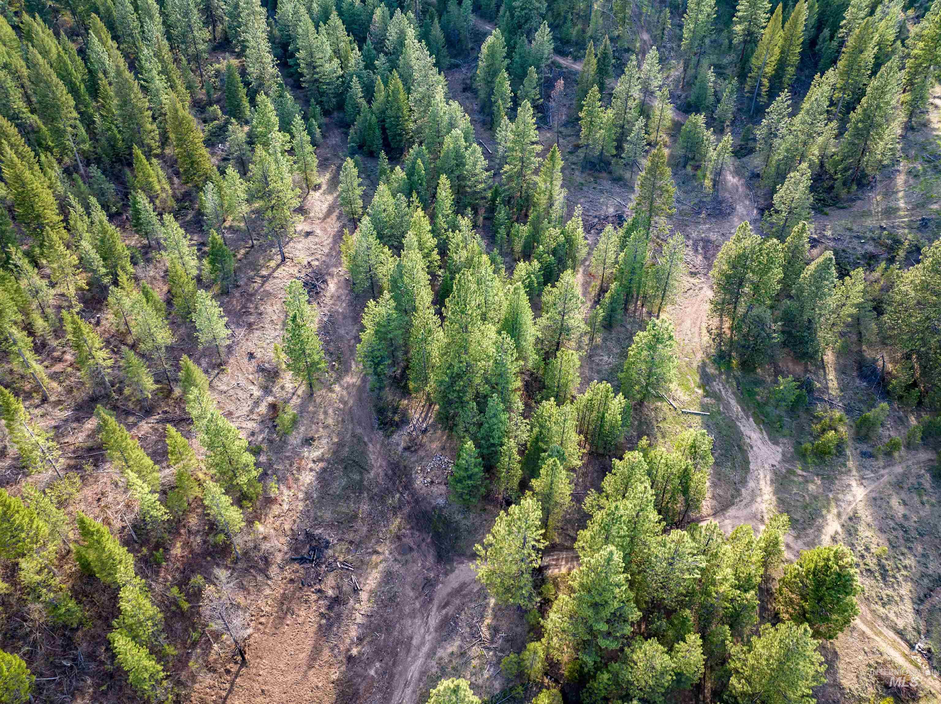 Lot 15 Trail Creek Ct Property Photo 5