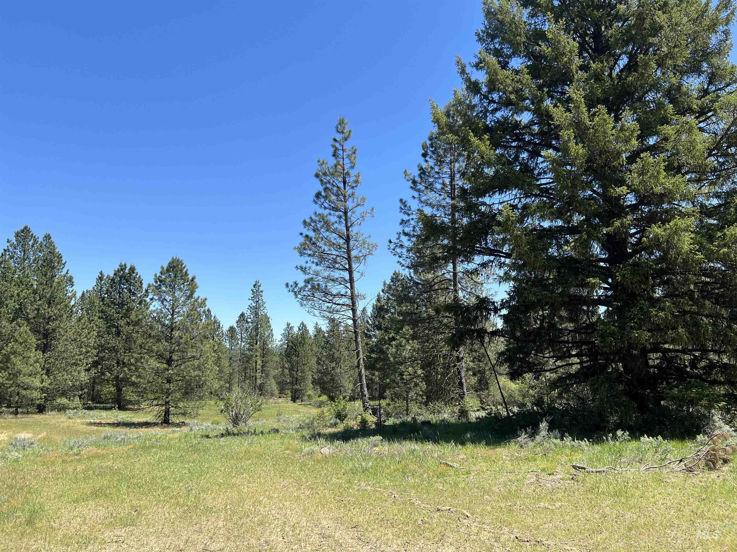 Lot 15 Trail Creek Ct Property Photo 20