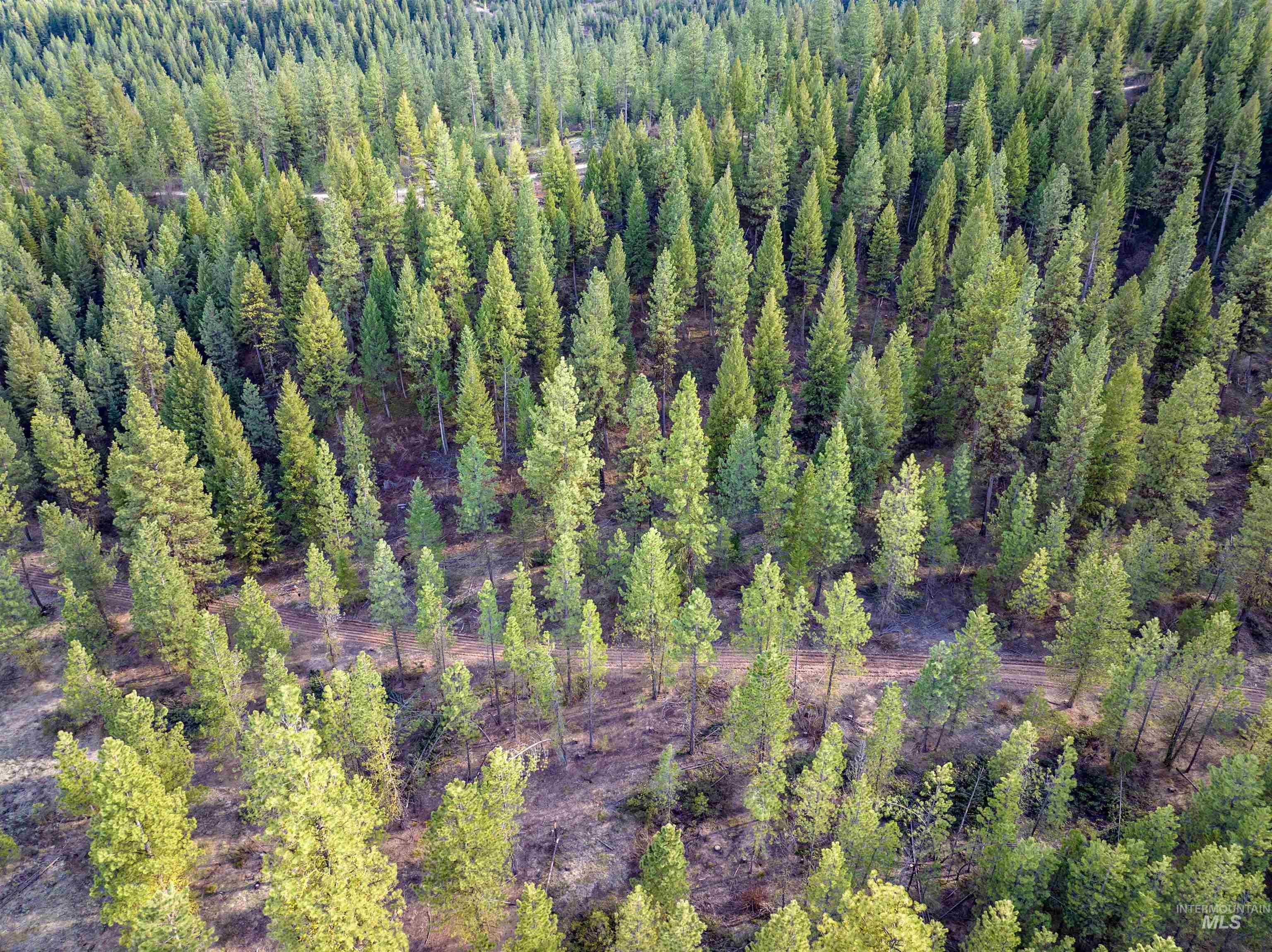 Lot 19 Trail Creek Ct Property Photo 1