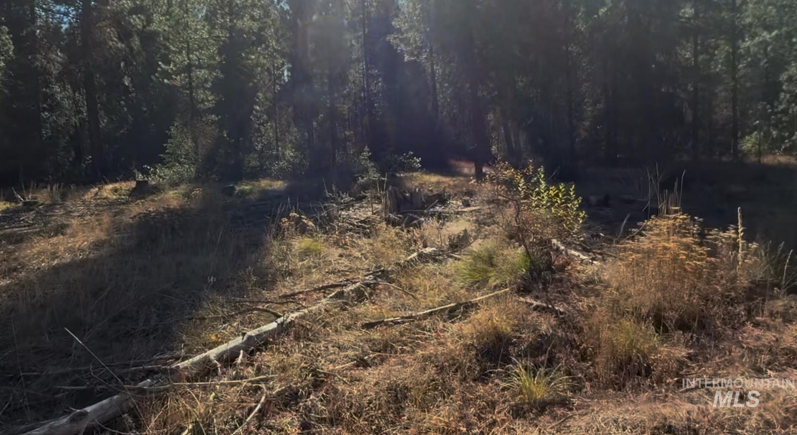 Lot 19 Trail Creek Ct Property Photo 5