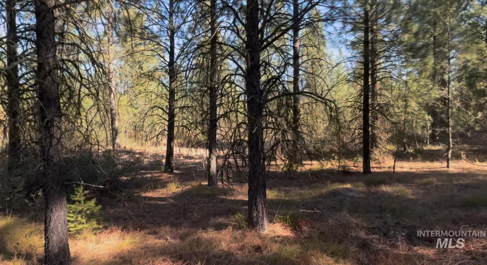 Lot 19 Trail Creek Ct Property Photo 6