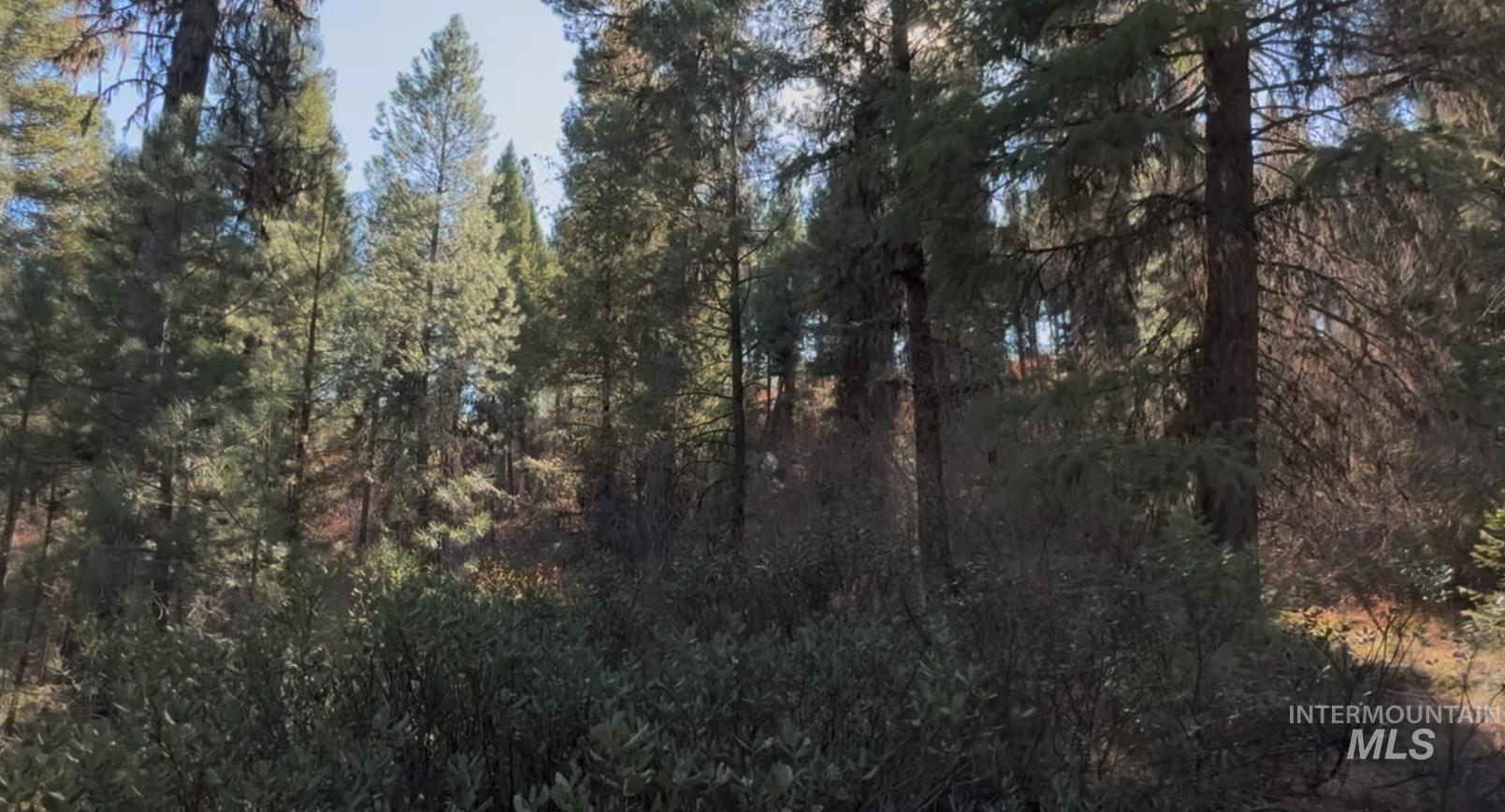 Lot 19 Trail Creek Ct Property Photo 8