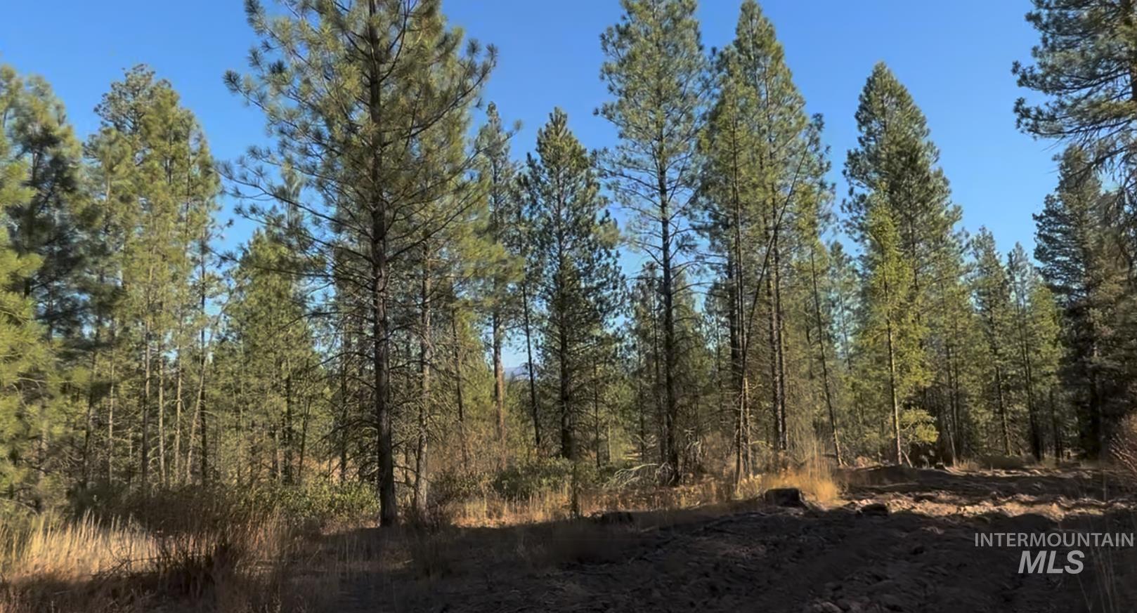 Lot 19 Trail Creek Ct Property Photo 9