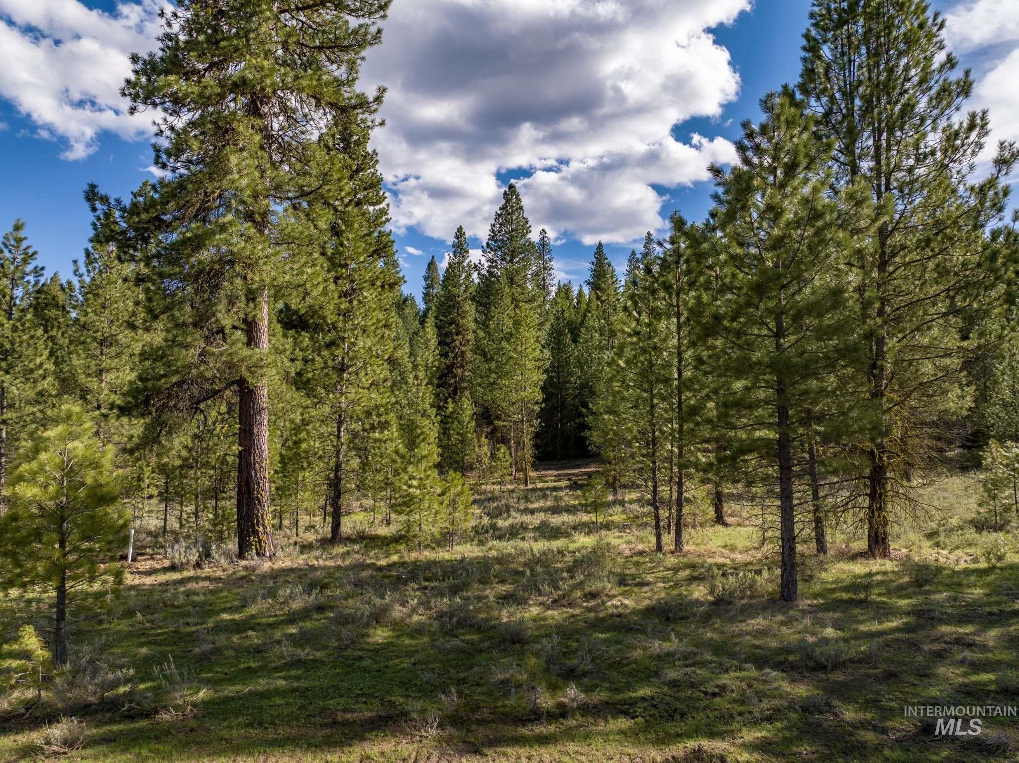 Lot 21 Trail Creek Ct Property Photo 4