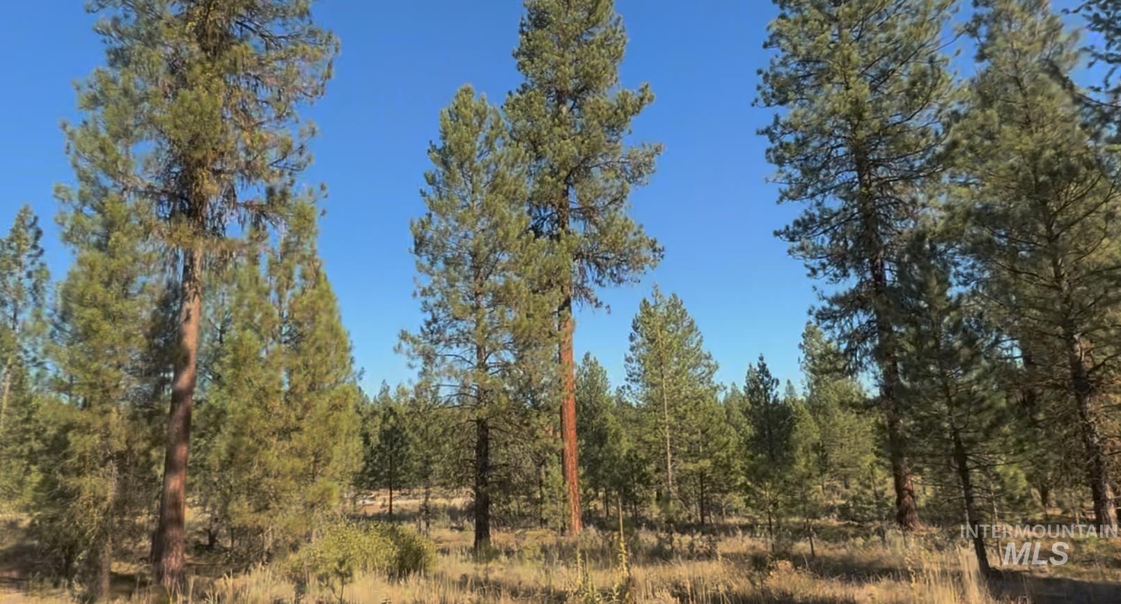 Lot 23 Trail Creek Ct Property Photo 3