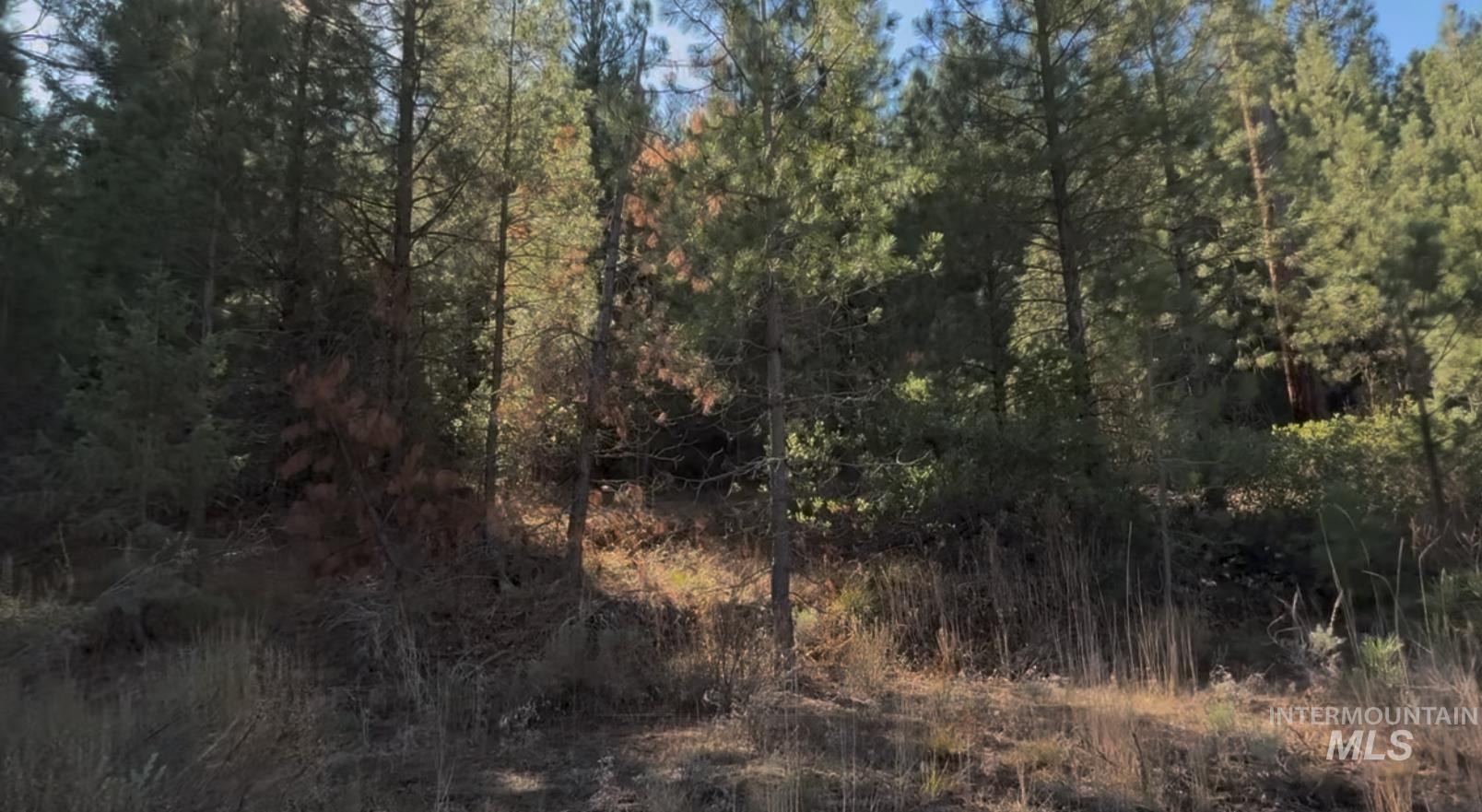 Lot 23 Trail Creek Ct Property Photo 4