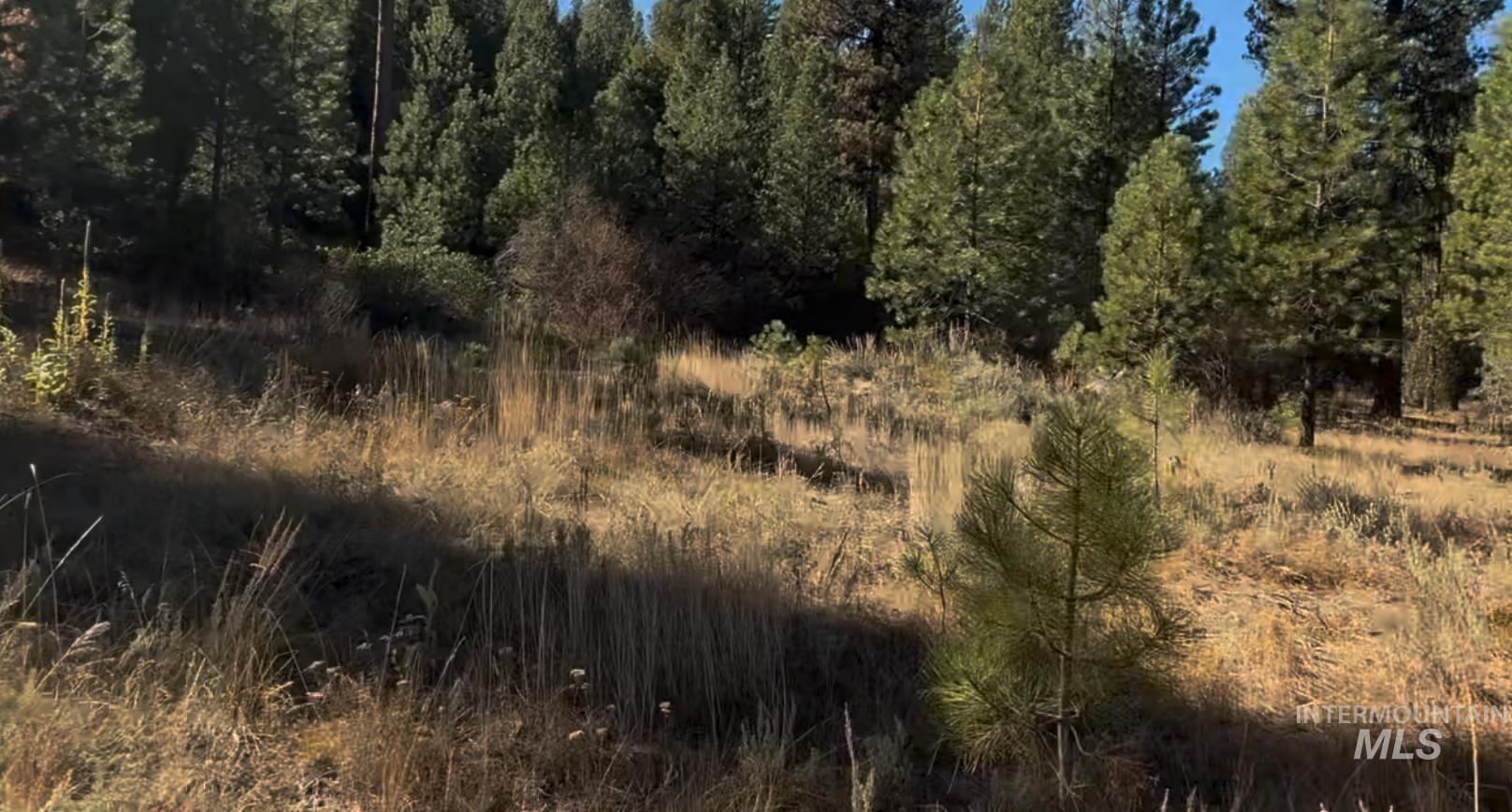 Lot 23 Trail Creek Ct Property Photo 5