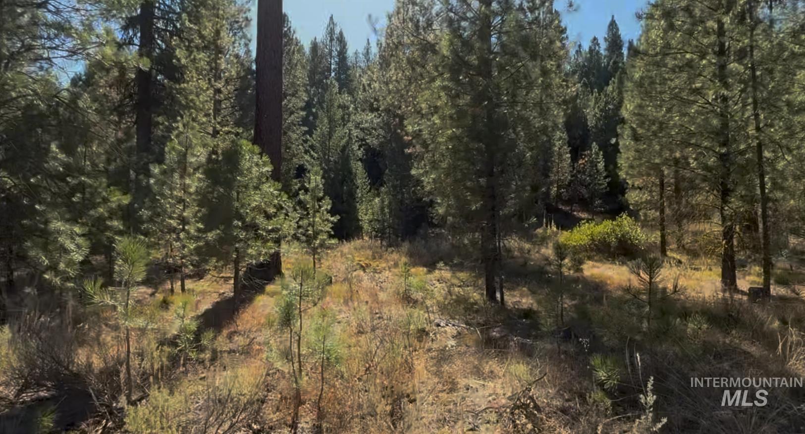 Lot 23 Trail Creek Ct Property Photo 6
