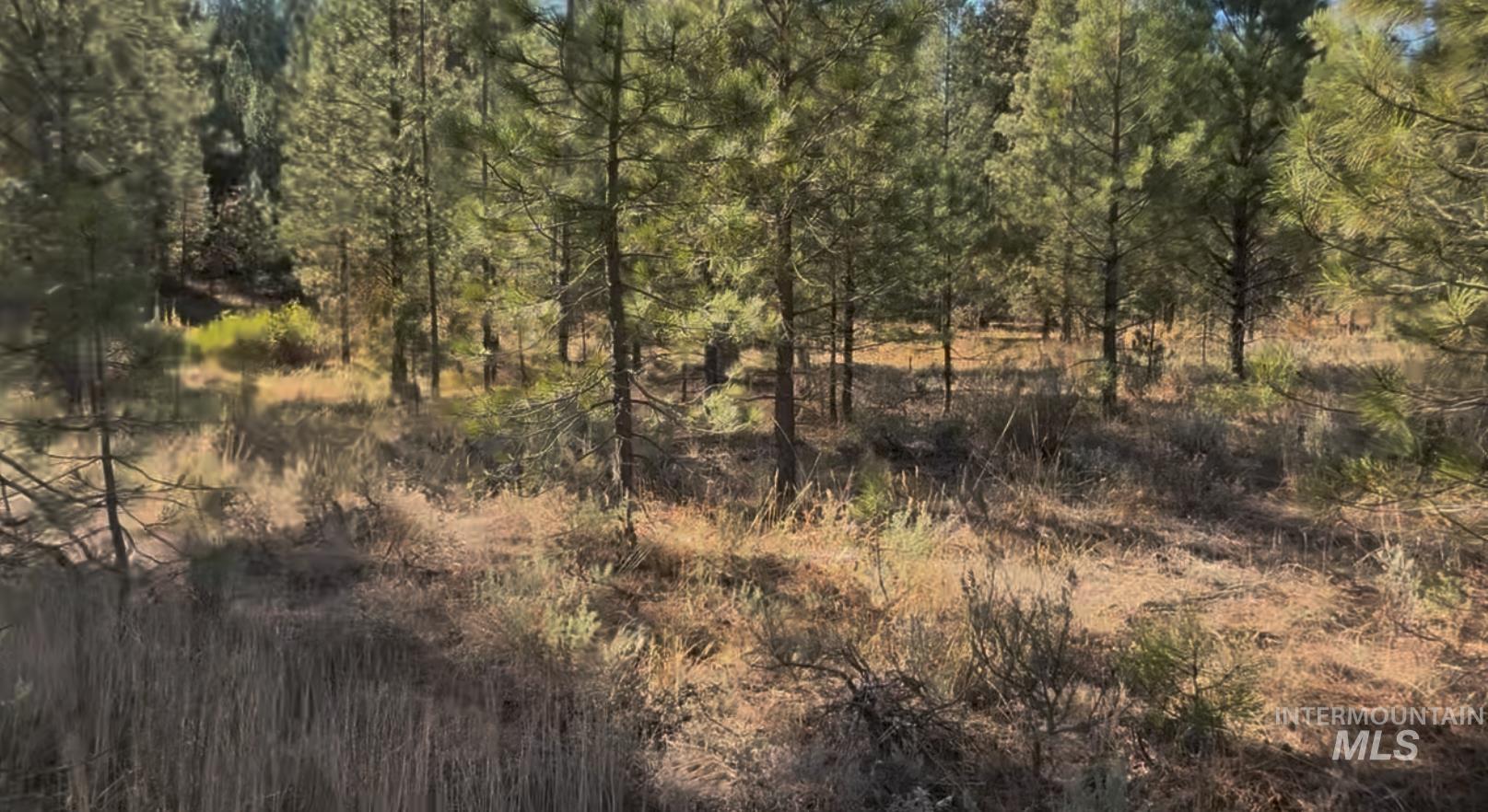 Lot 23 Trail Creek Ct Property Photo 7