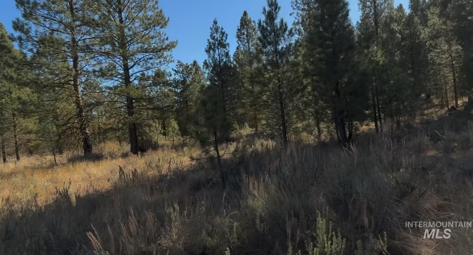 Lot 23 Trail Creek Ct Property Photo 8