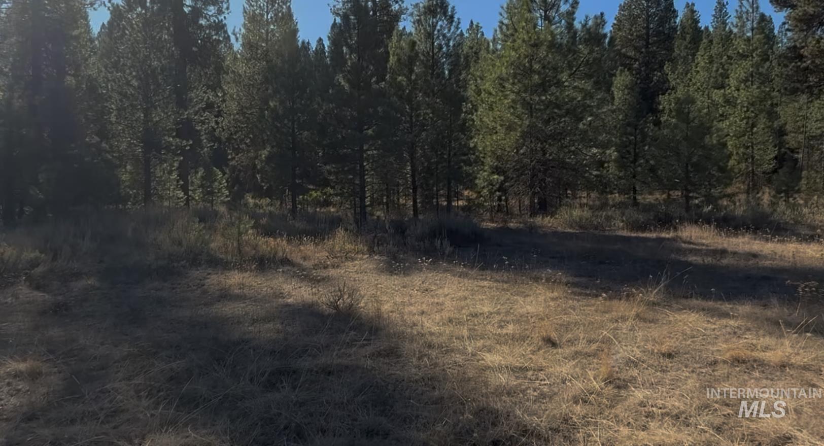 Lot 23 Trail Creek Ct Property Photo 9