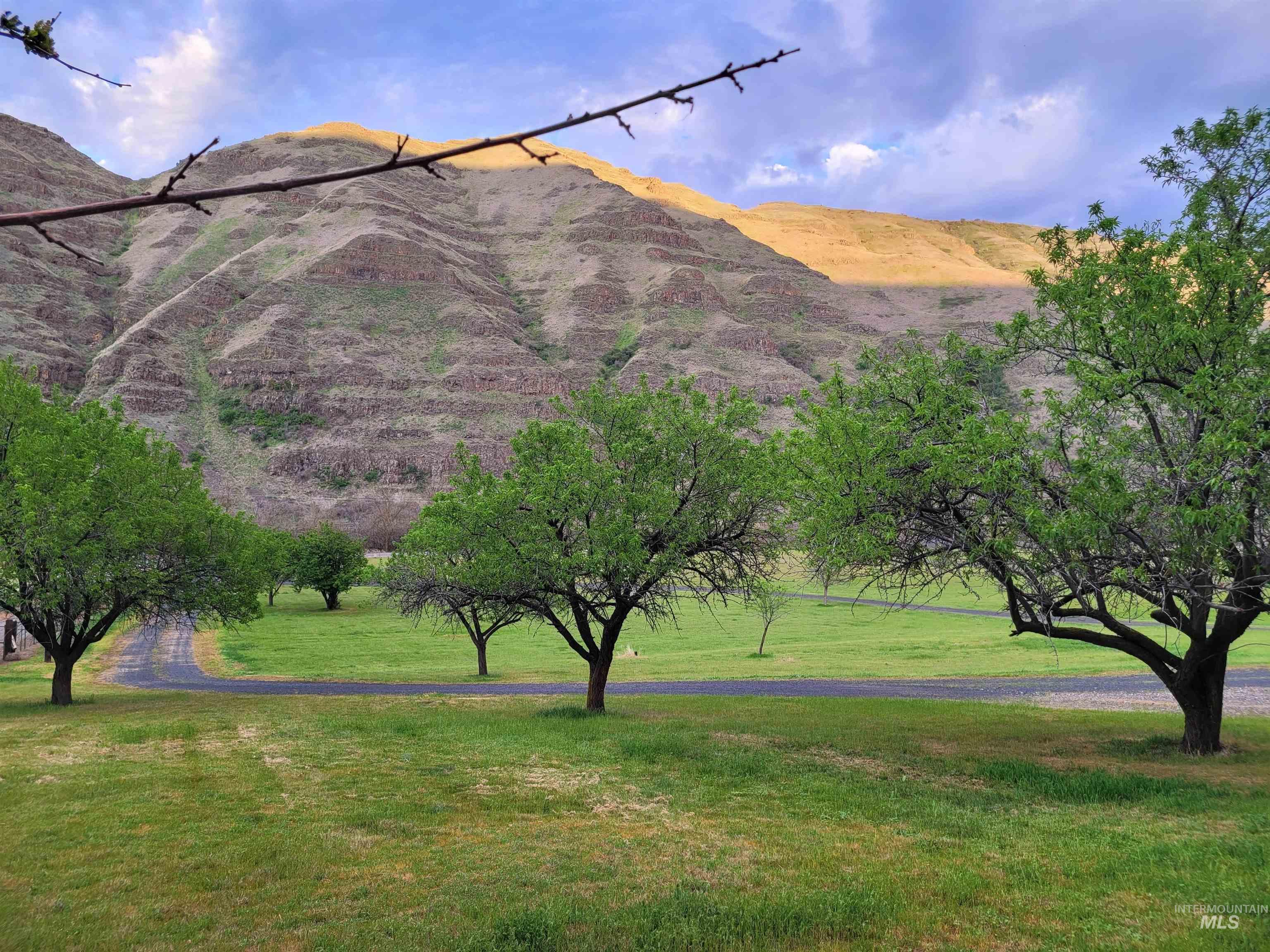 16186 Snake River Road Property Photo 4
