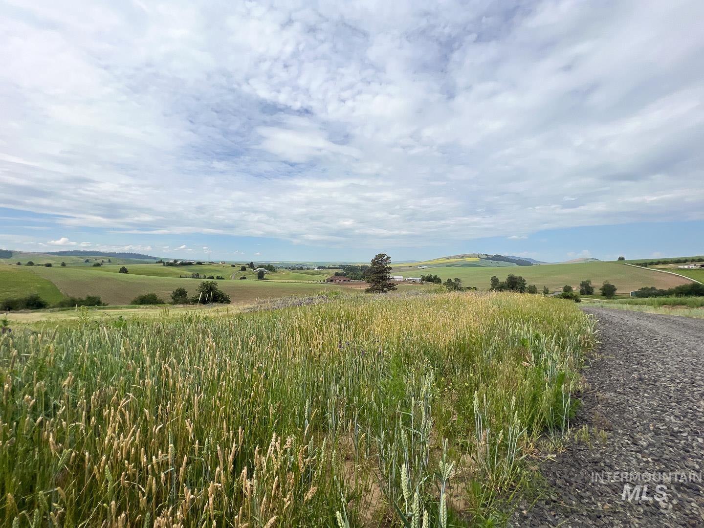 002 Raptor Lane (lot 2) Property Photo 11