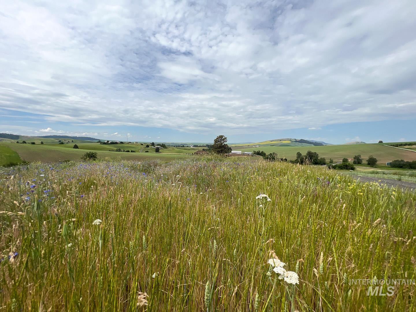 002 Raptor Lane (lot 2) Property Photo 12