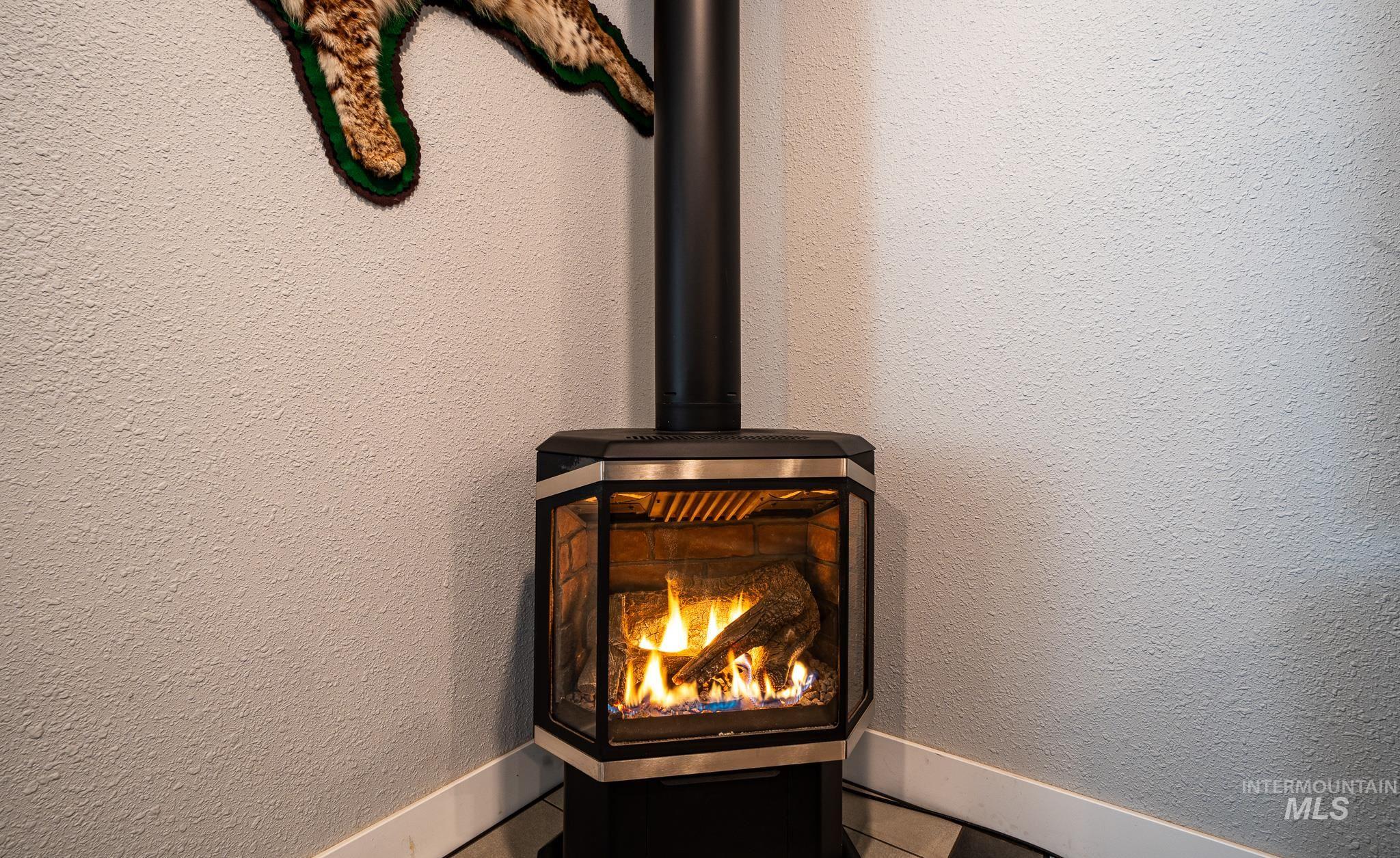 409 W South Street Property Photo 21