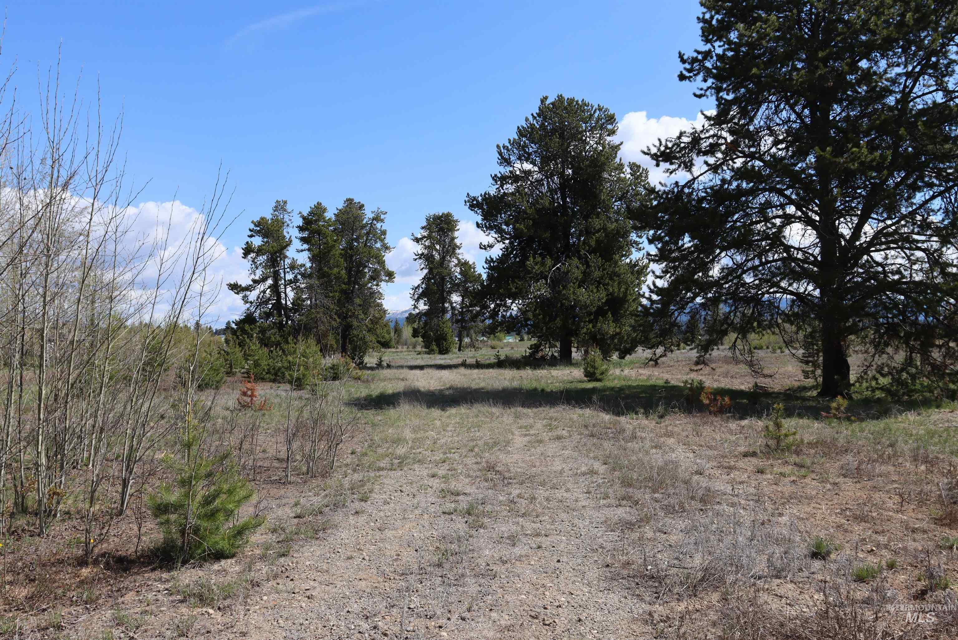 287 Rawhide Loop Property Photo 10