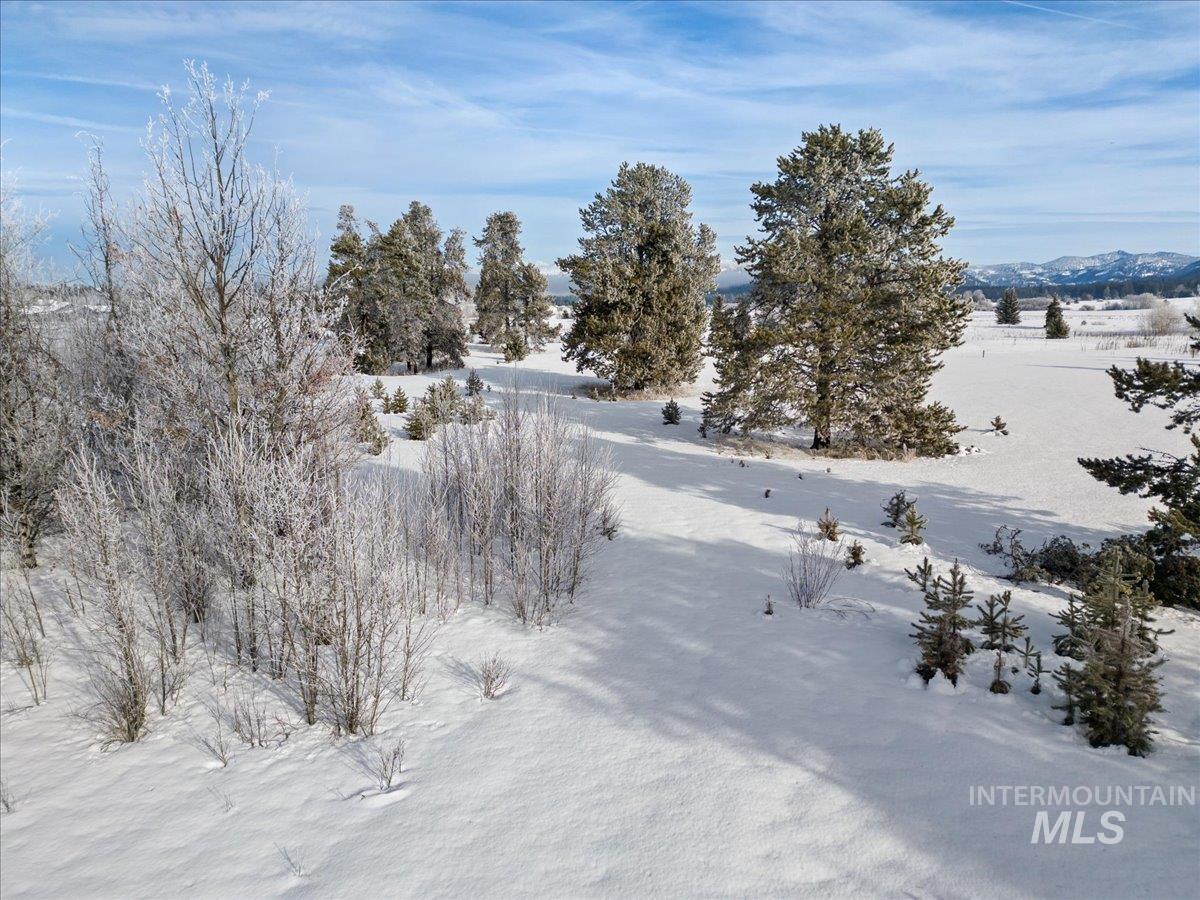 287 Rawhide Loop Property Photo 11