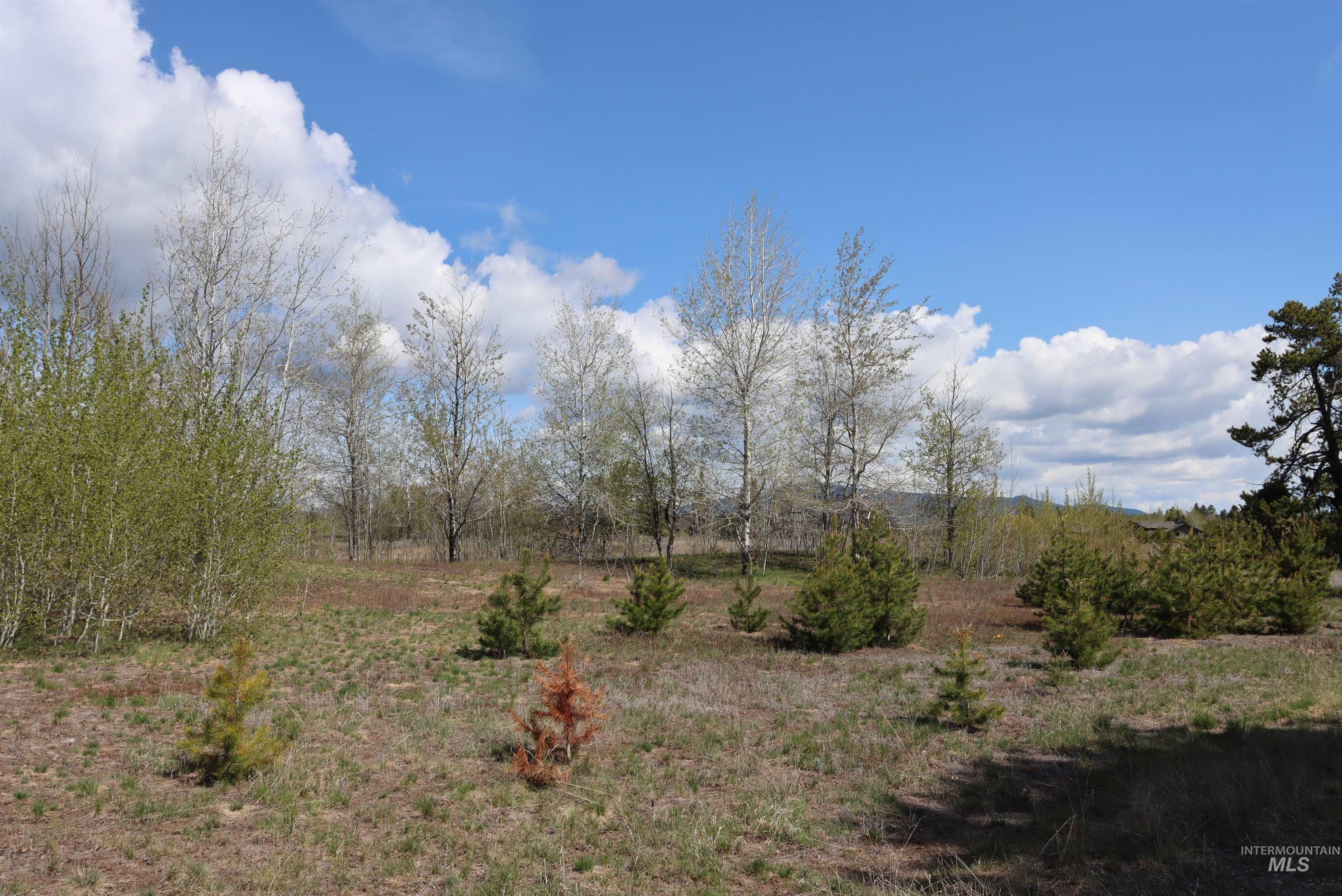 287 Rawhide Loop Property Photo 12