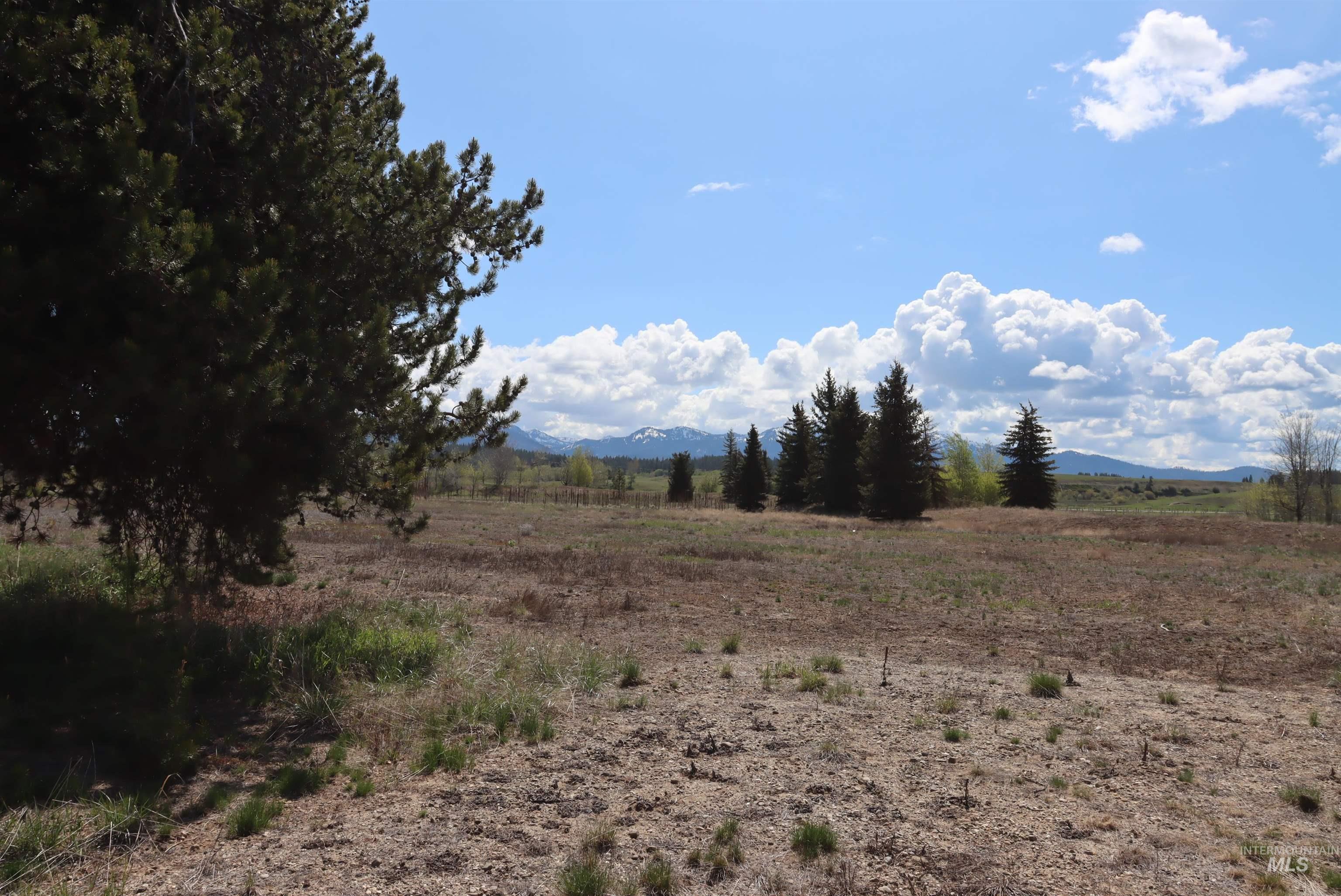 287 Rawhide Loop Property Photo 14