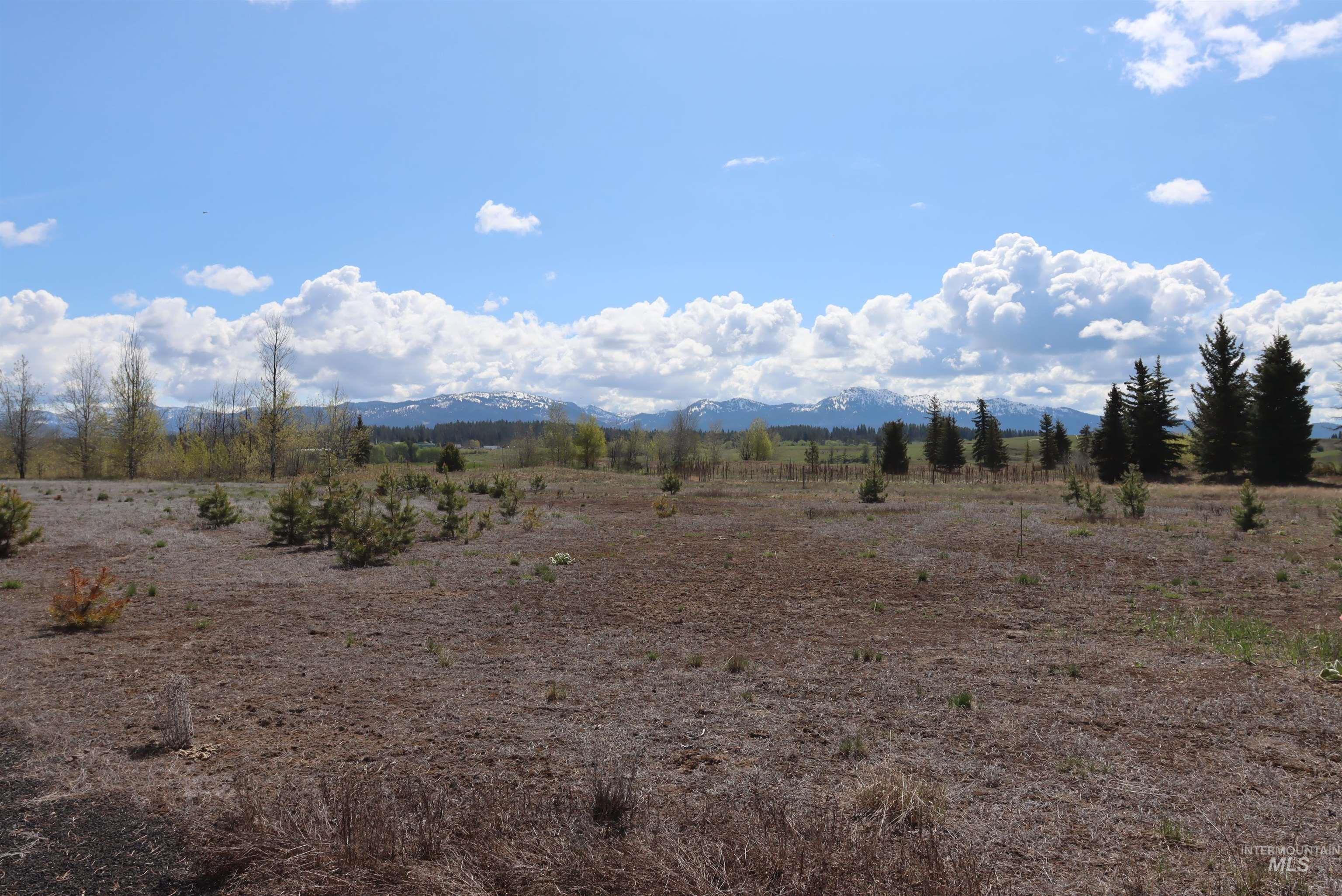 287 Rawhide Loop Property Photo 16