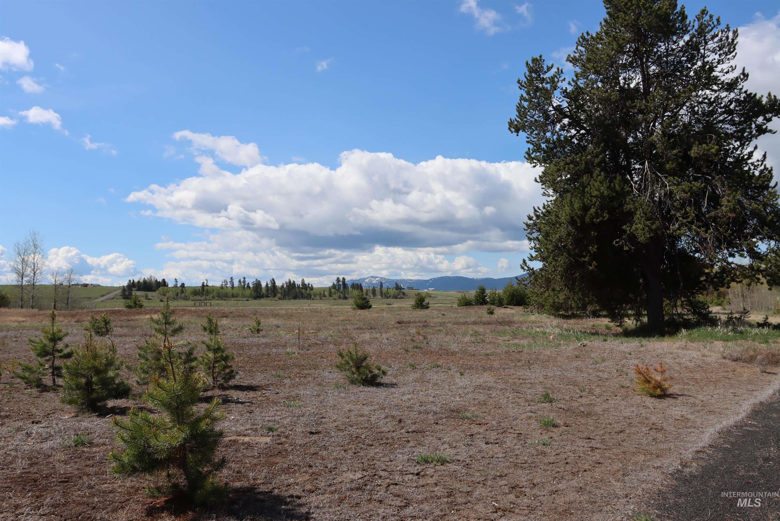 287 Rawhide Loop Property Photo 17