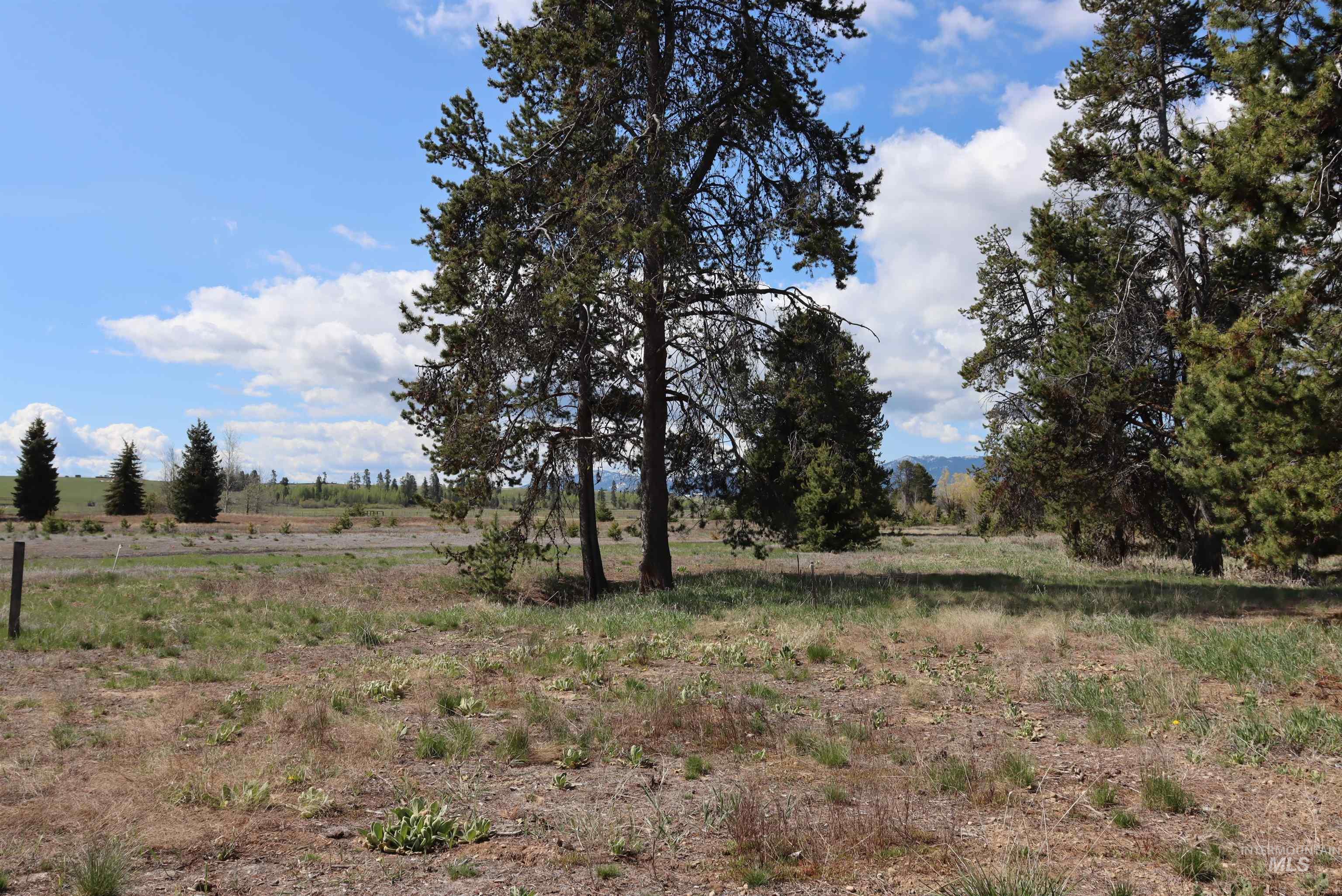 287 Rawhide Loop Property Photo 25